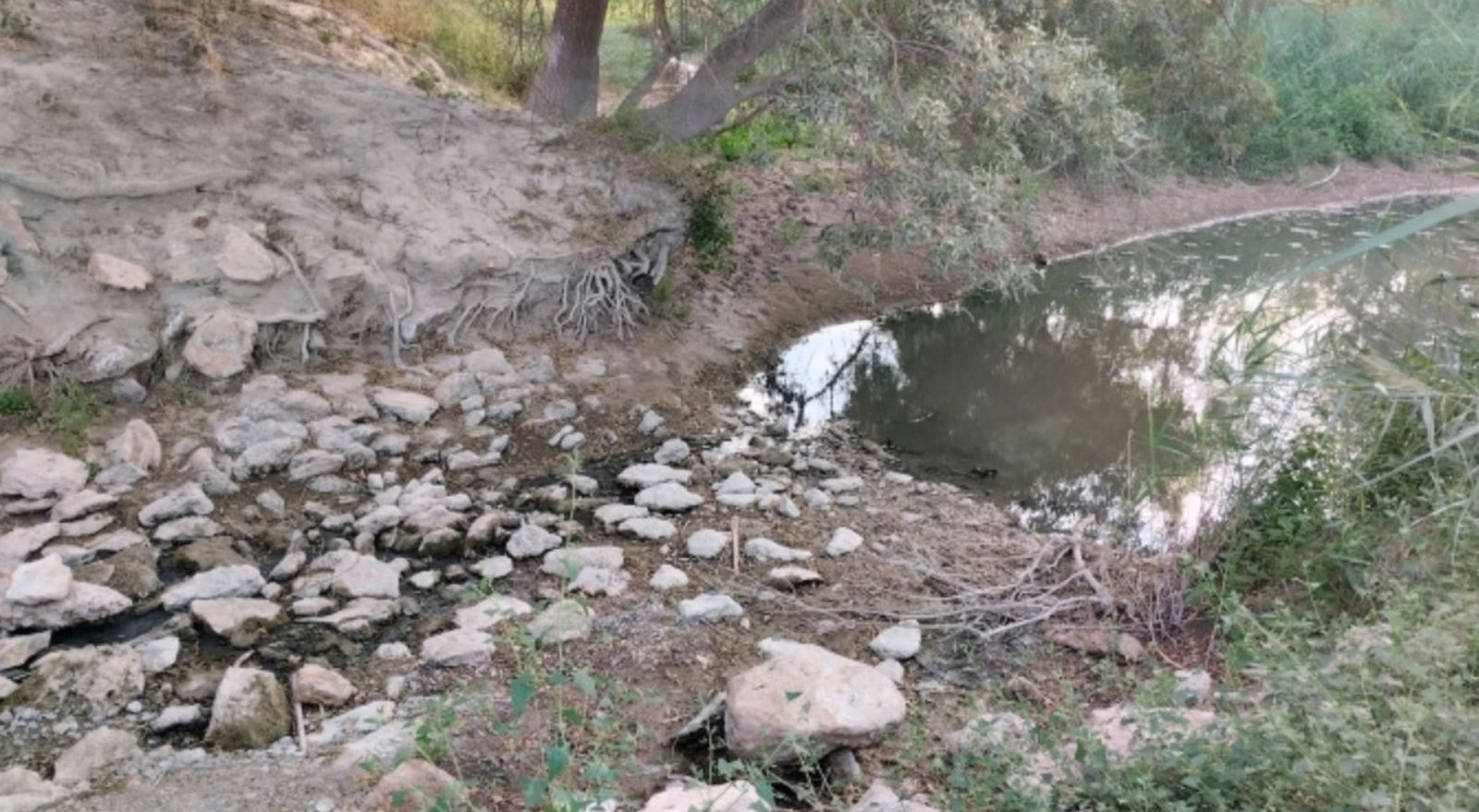 Regantes y vecinos de Benamaurel salen en defensa del río Guardal, "prácticamente muerto"