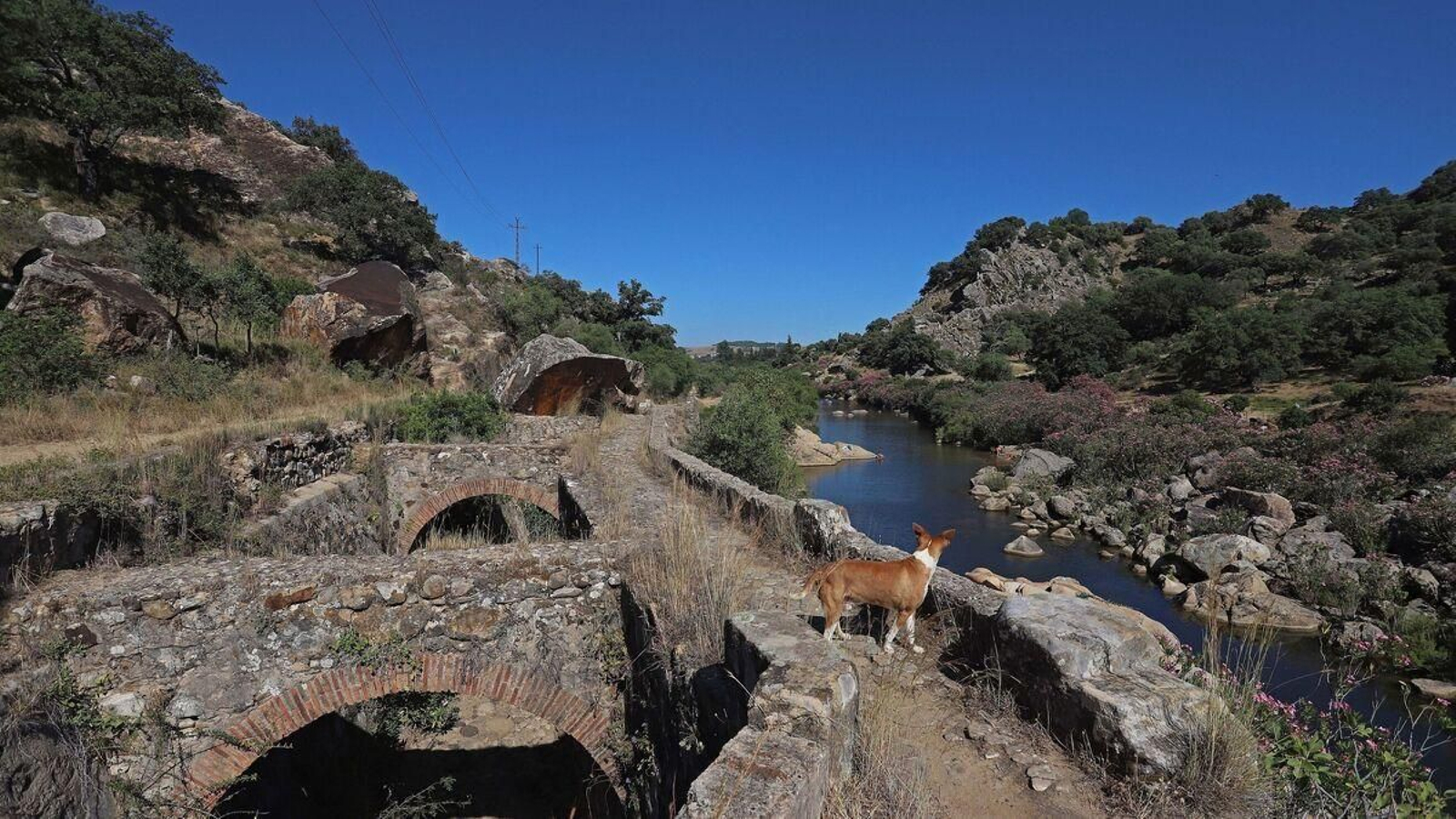 Hozgarganta, el último río virgen de Andalucía