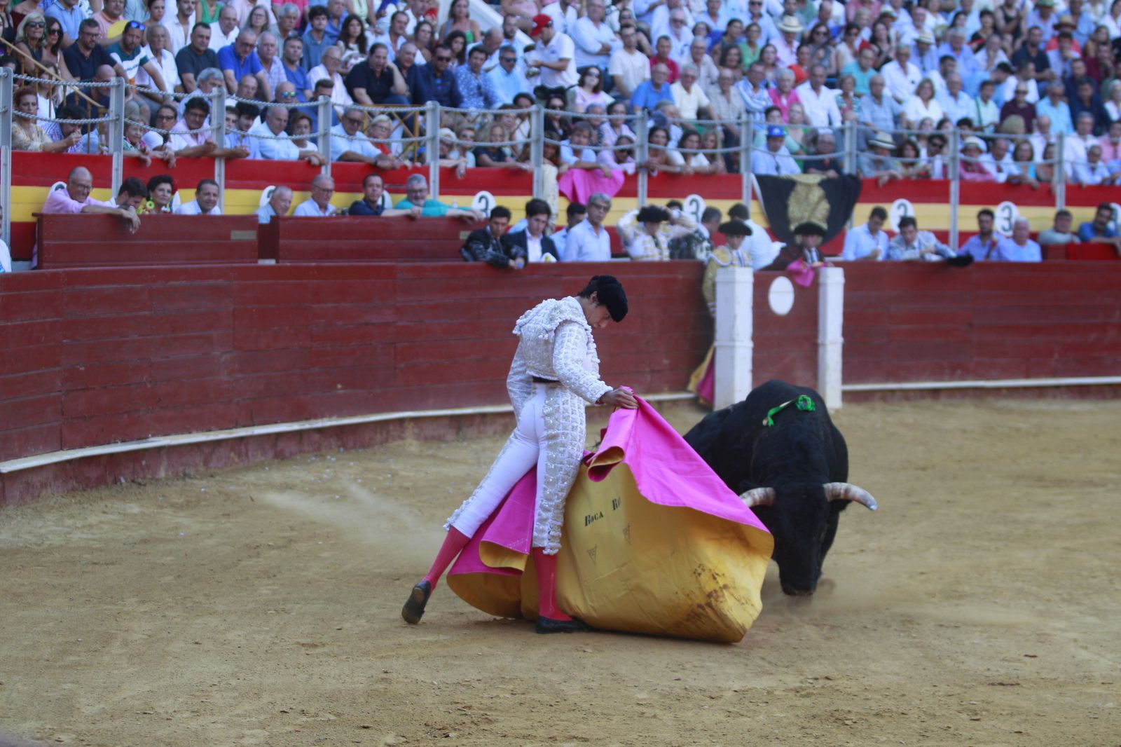 Imágenes del triunfo del torero almeriense Jorge Martínez el día de su alternativa