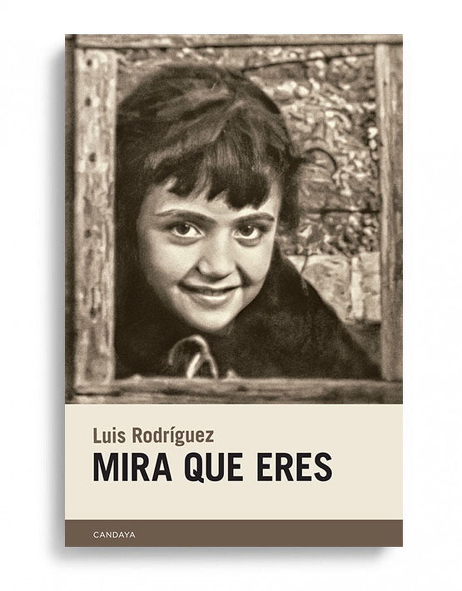 Portada del libro.
