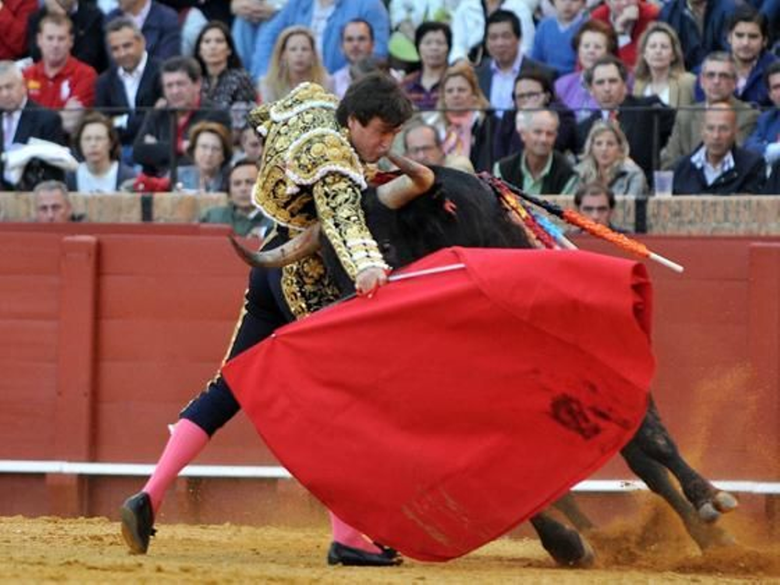 Barrera en un arriesgadísimo pase roza los cuernos del toro.

Foto: Manuel Gómez