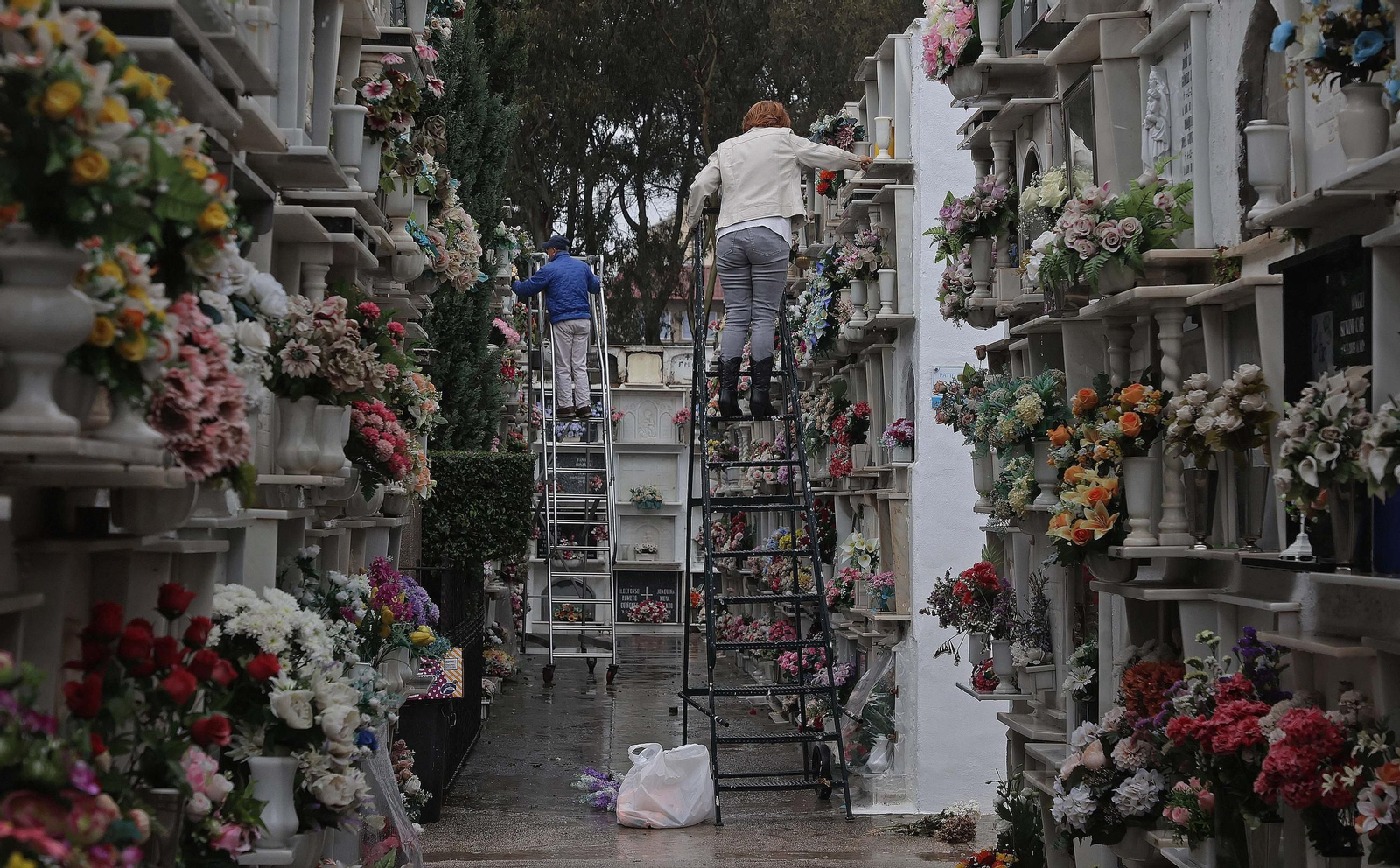Fotos de los preparativos para Tosantos en el cementerio de Algeciras