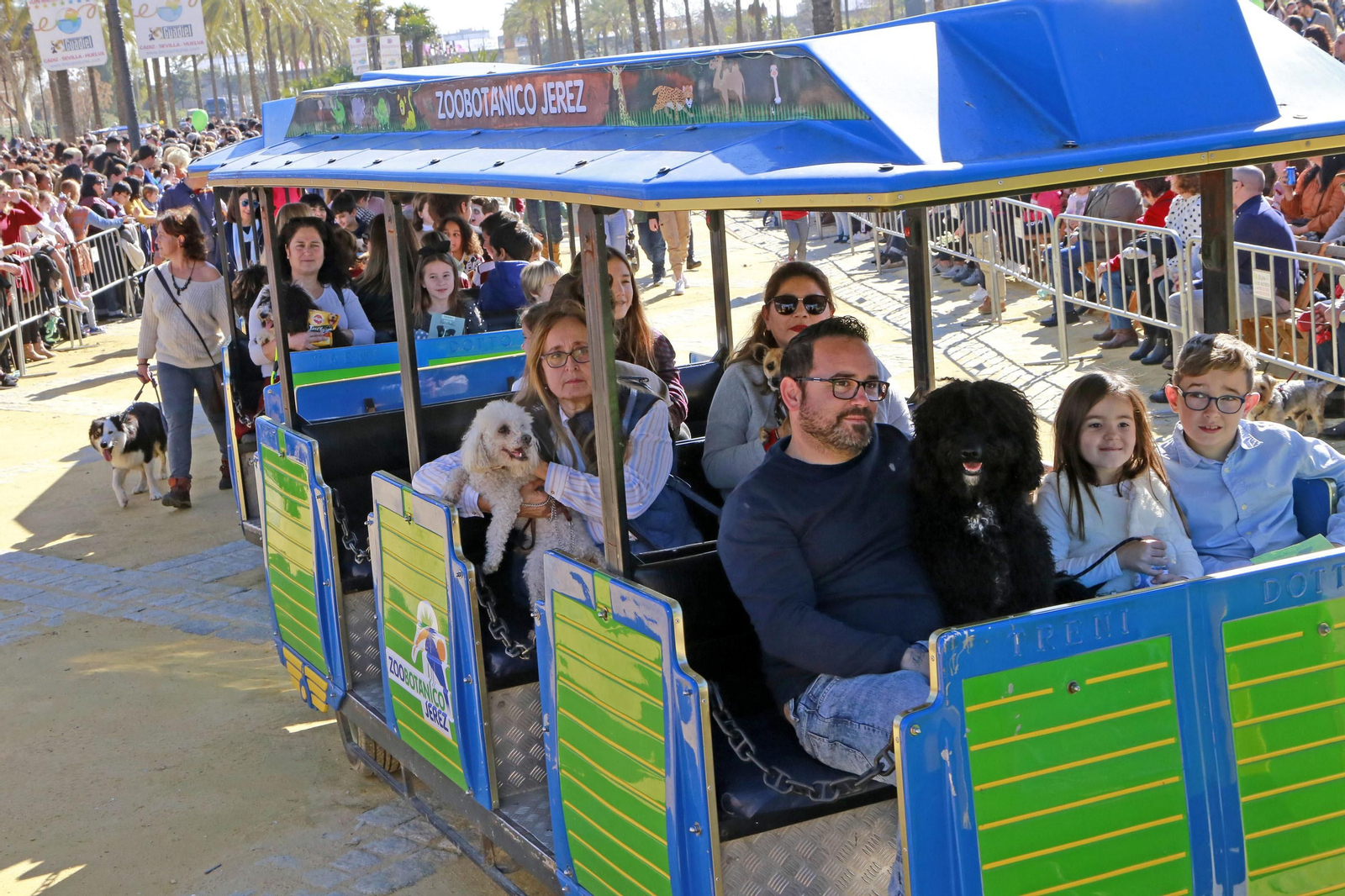 Imágenes de San Antón 2020 en Jerez