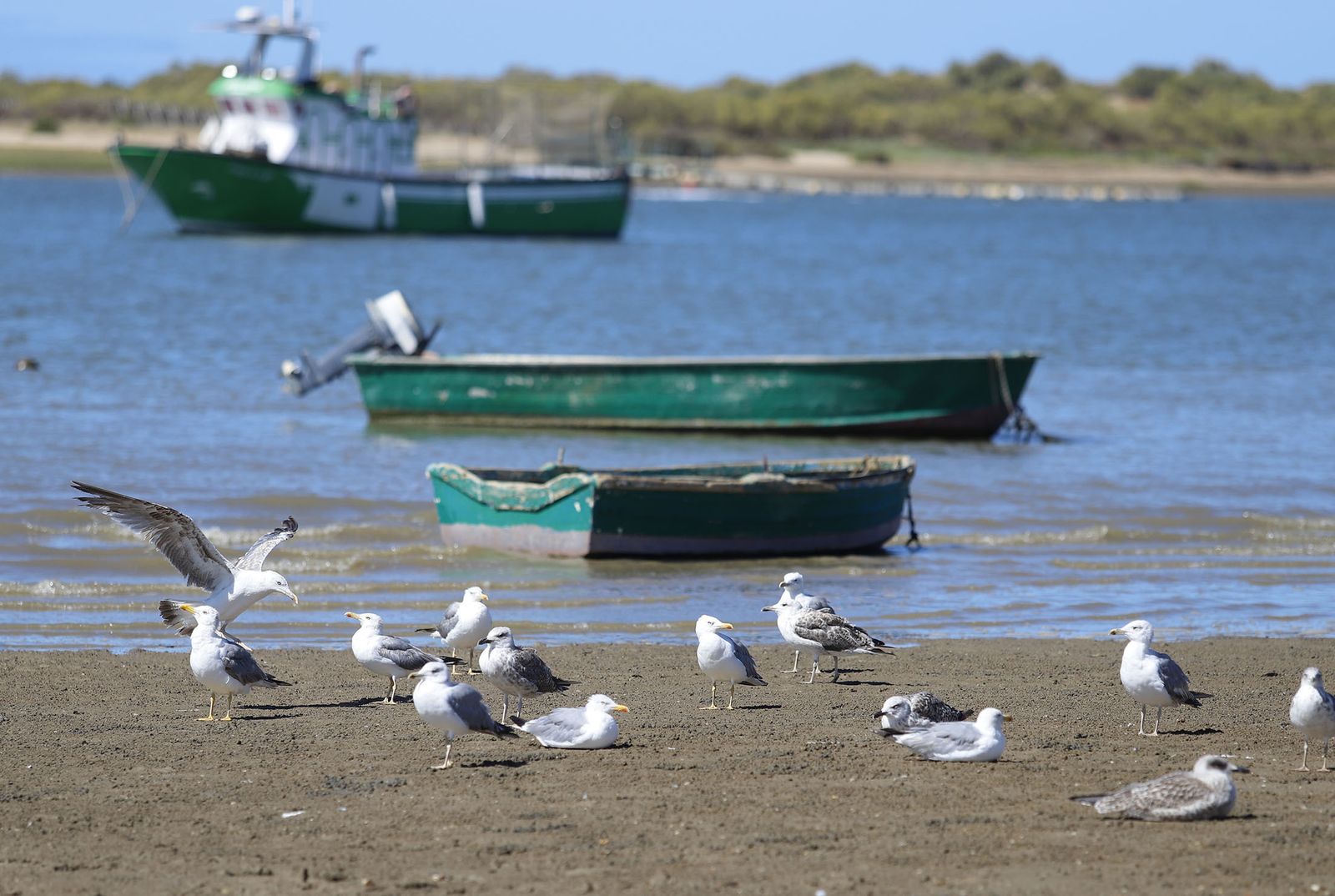 Imágenes de las playas de Huelva en el sábado 15 de agosto