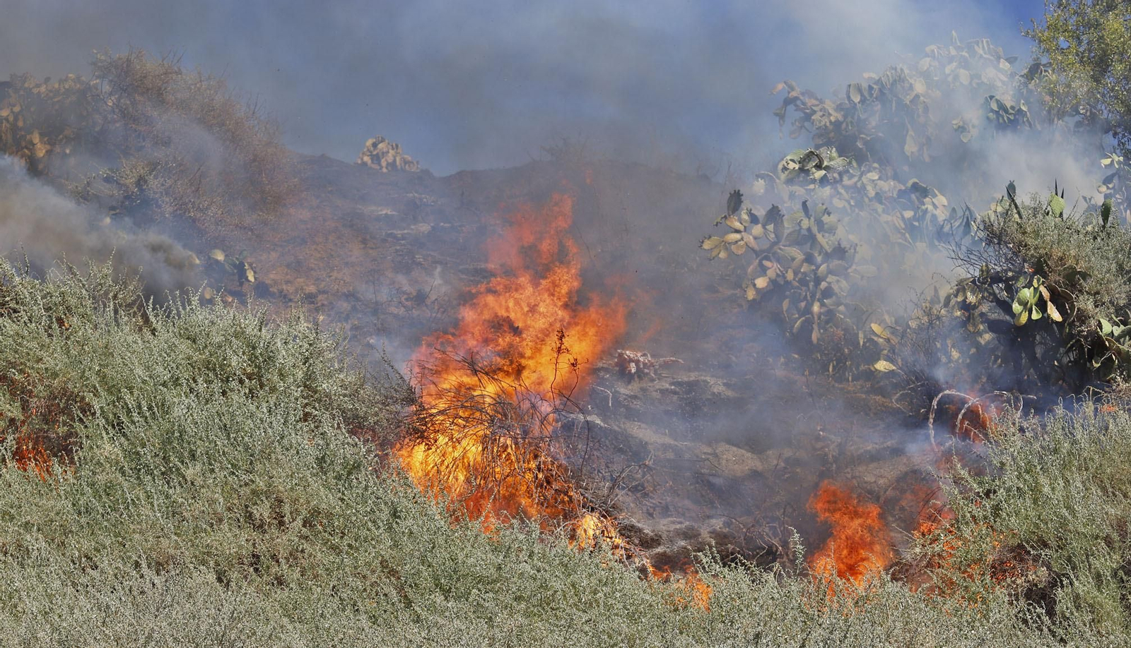 Imágenes del espectacular incendio en las laderas del Conquero