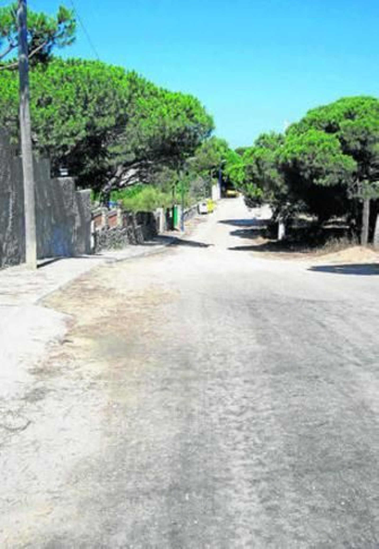 Una de las carreteras que atraviesa la urbanización.