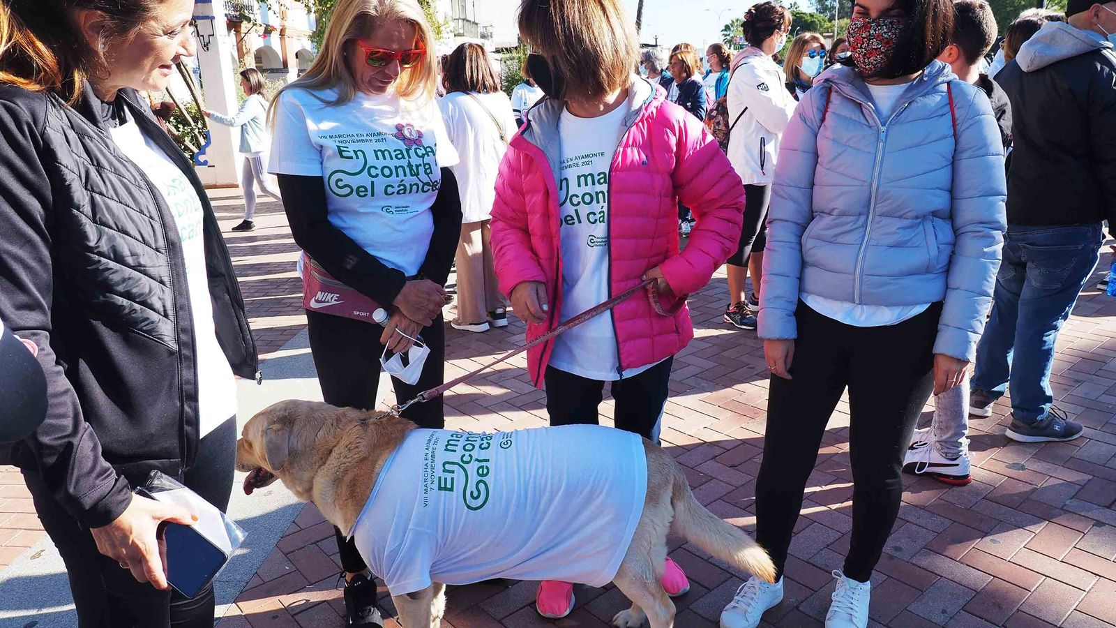 En la marcha han participado numerosas mascotas