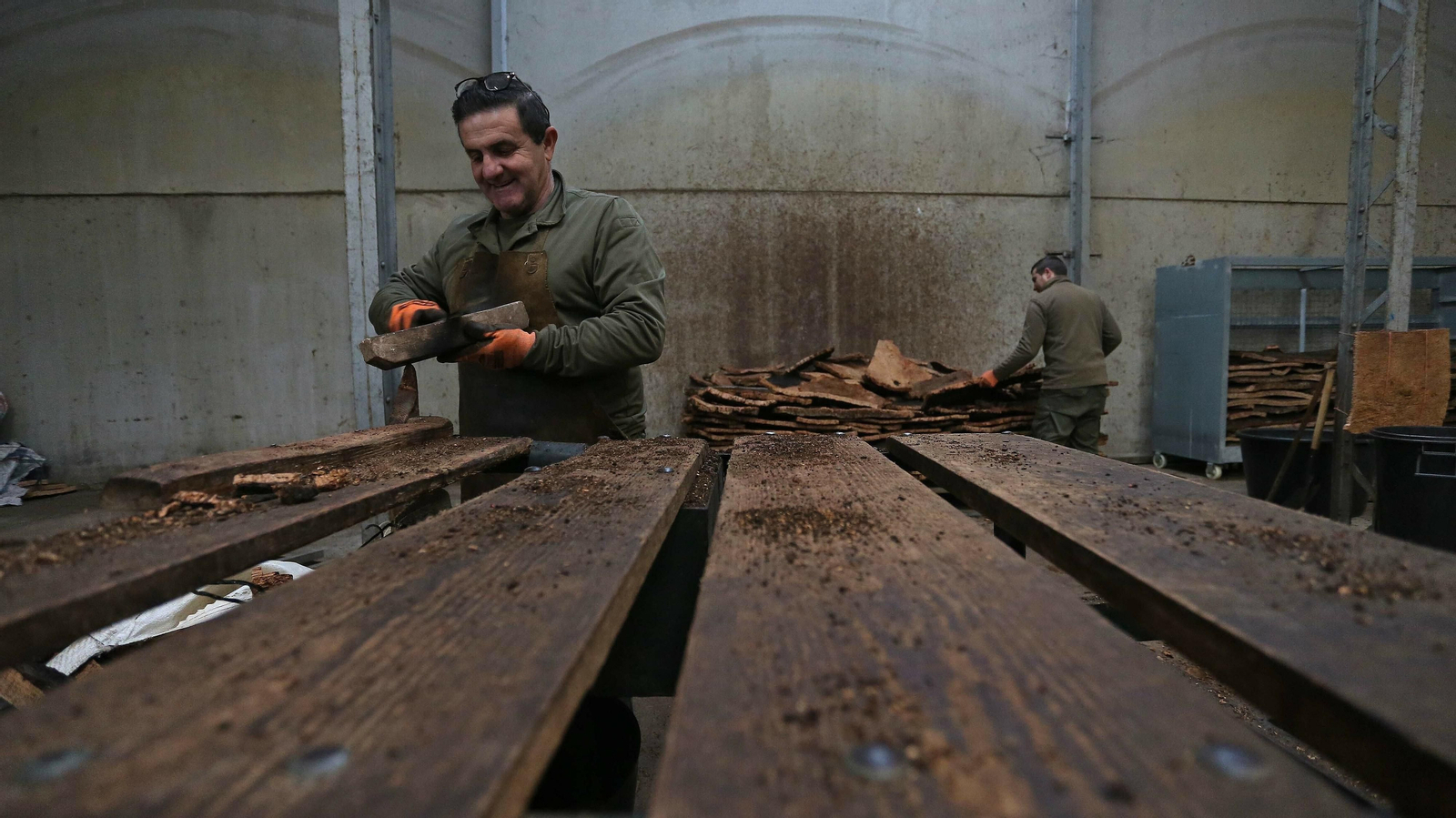 Las mejores fotos de la finca La Almoraima