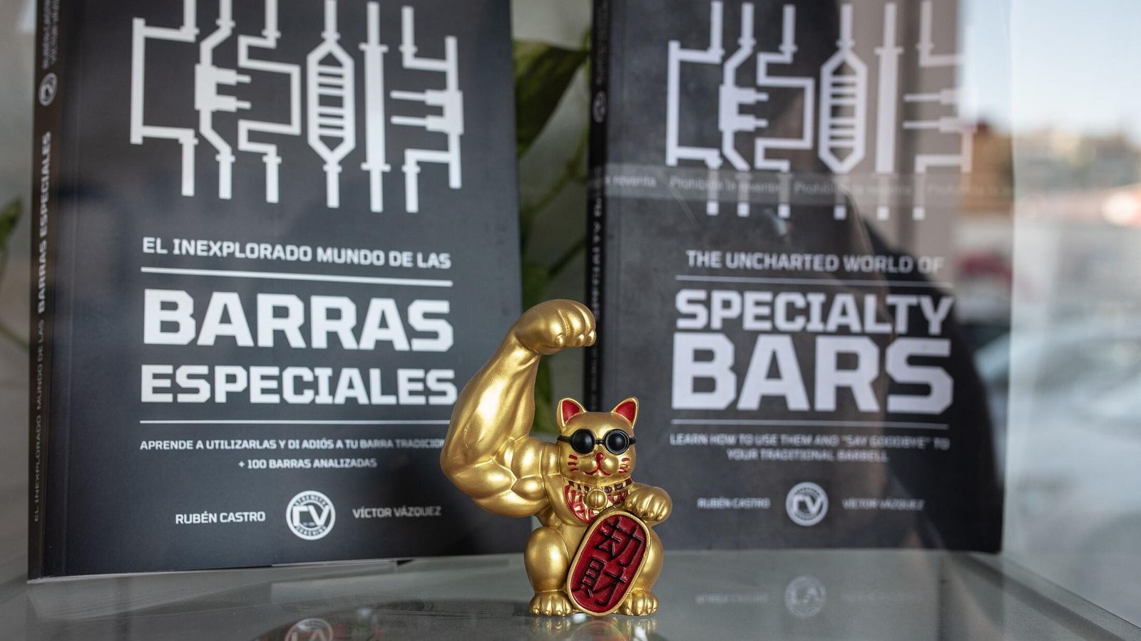 Libros de Rubén Castro y su socio Víctor Vázquez.