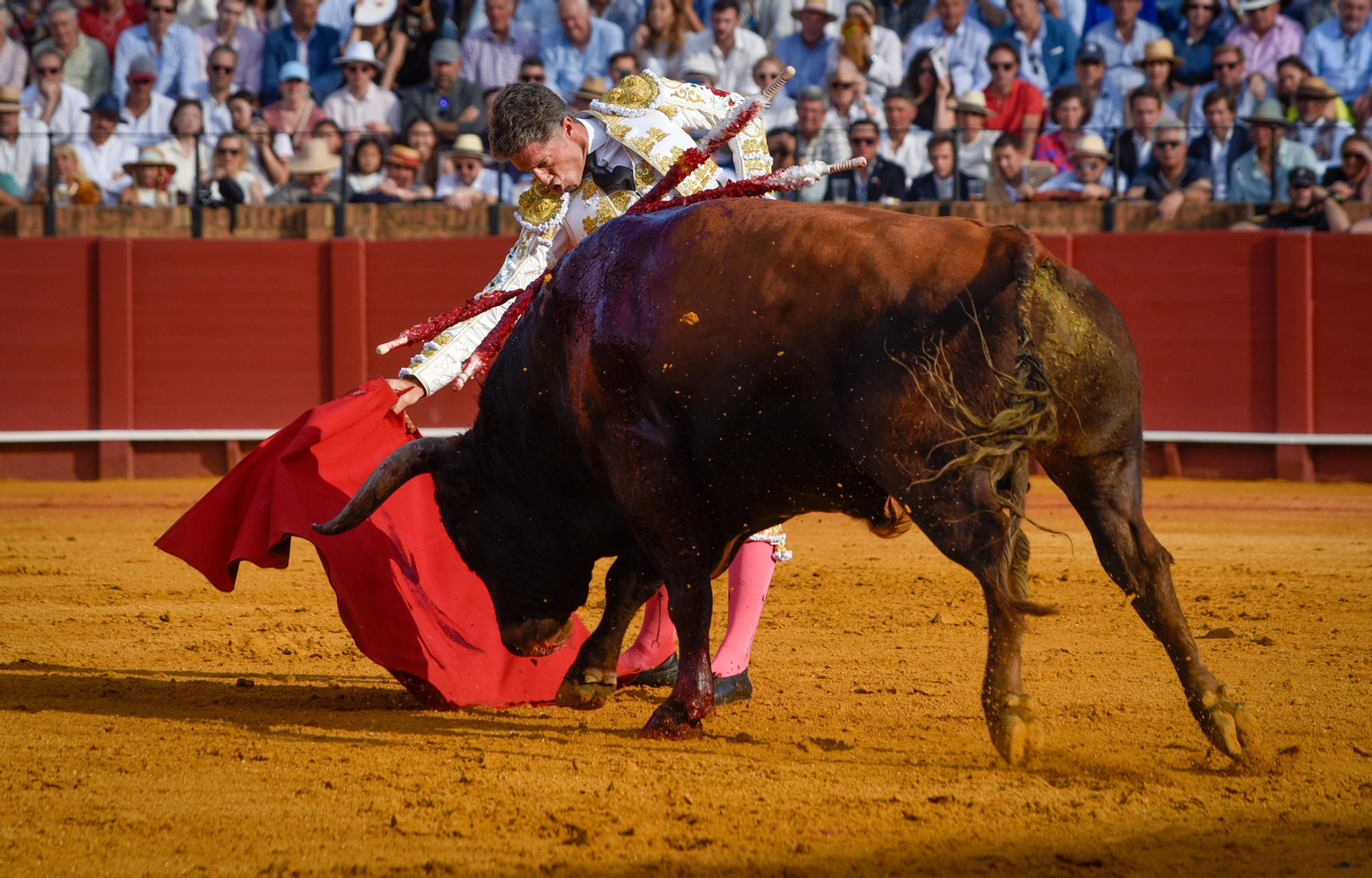 Las imágenes de la corrida de toros de El Fandi, Manuel Escribano y Esaú Fernández