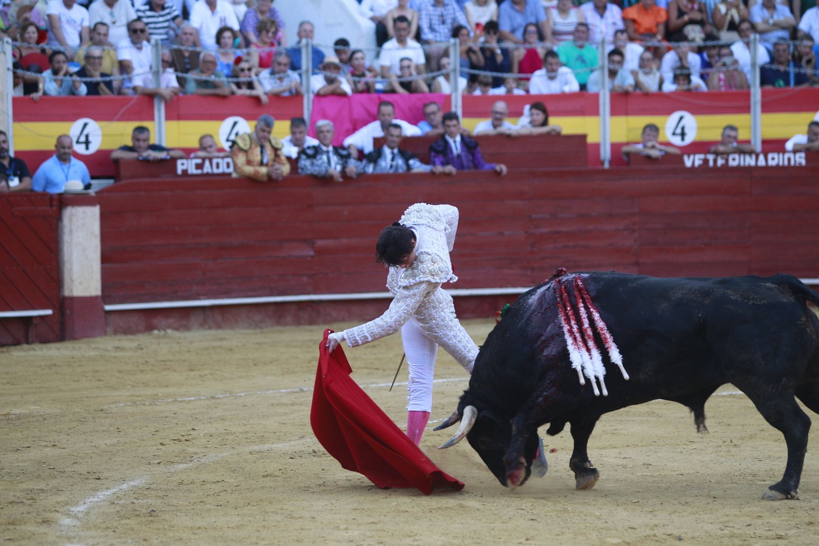 Imágenes del triunfo del torero almeriense Jorge Martínez el día de su alternativa