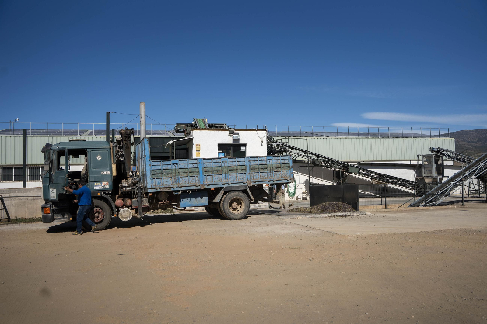 Os enseñamos como se hace el aceite en la almazara de Fiñana, en imágenes