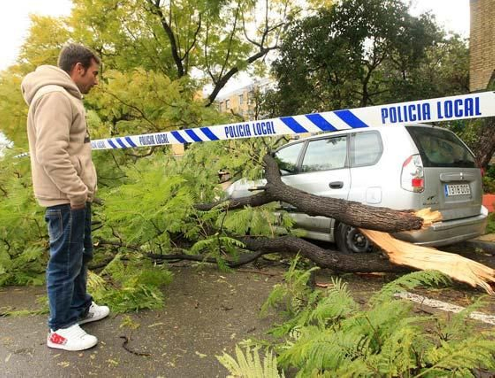 Un joven contempla los daños que la caída de una rama ha causado a su vehículo tras ser desprendida por el vendaval.

Foto: juan carlos toro