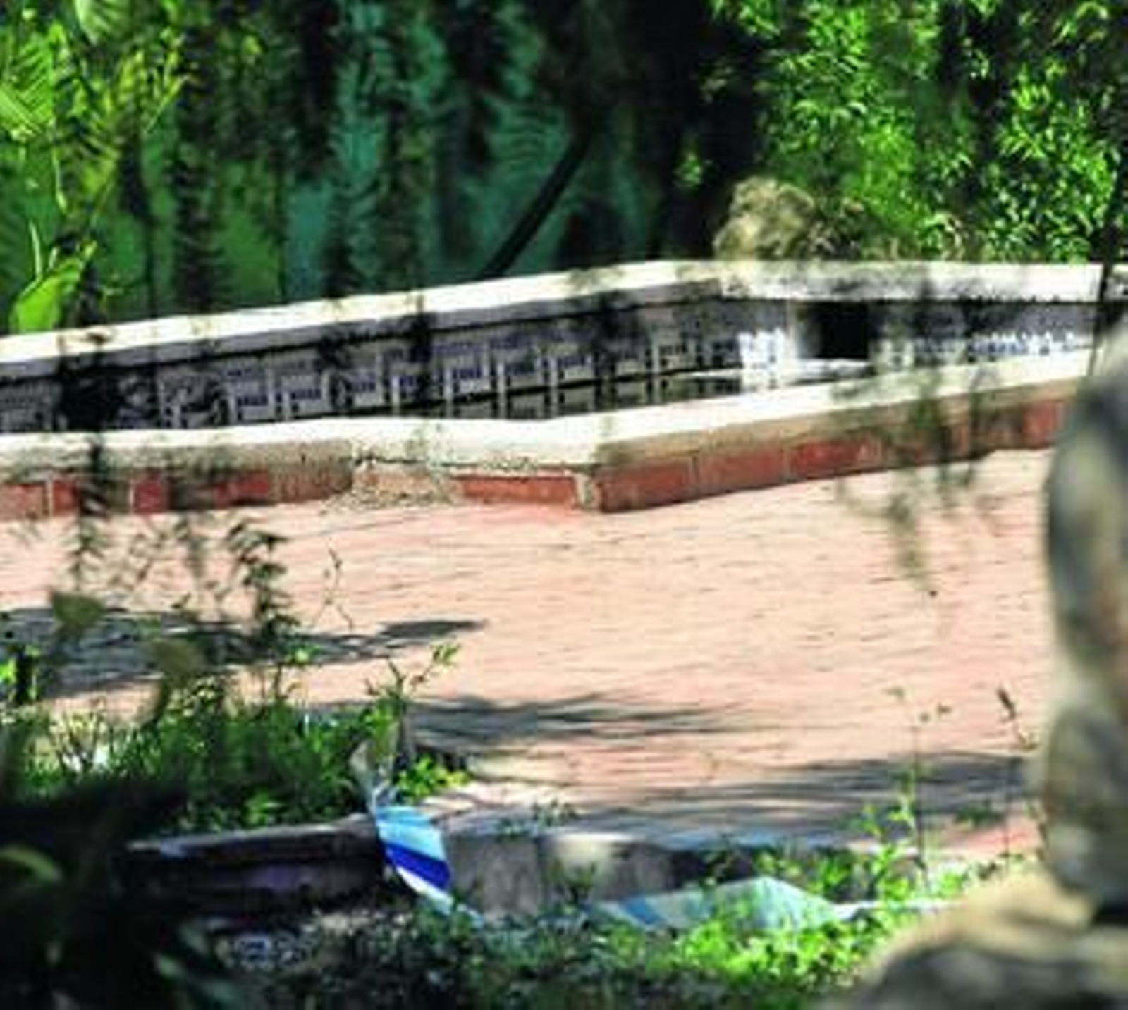 La piscina de la finca Los Naranjos en que fue hallado el cadáver.