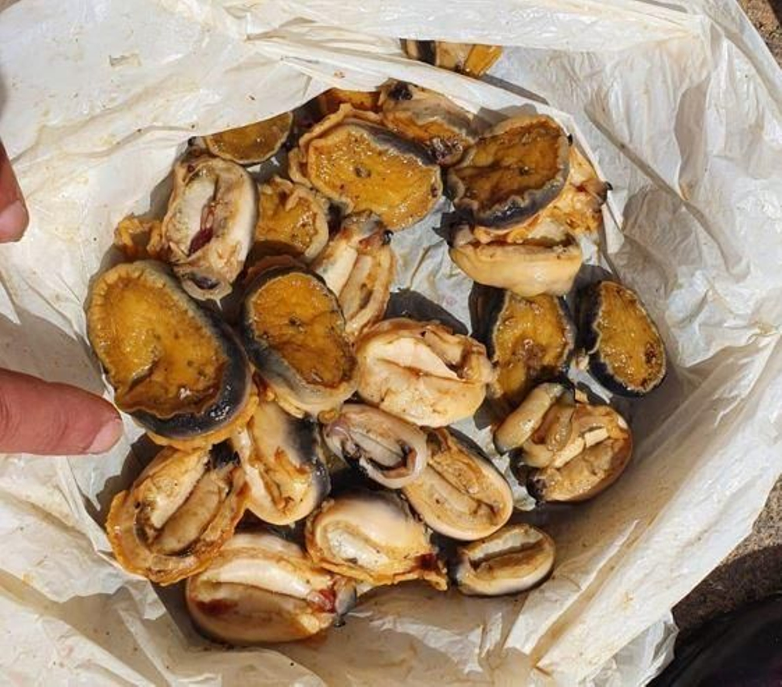 Una parte de los moluscos incautados.