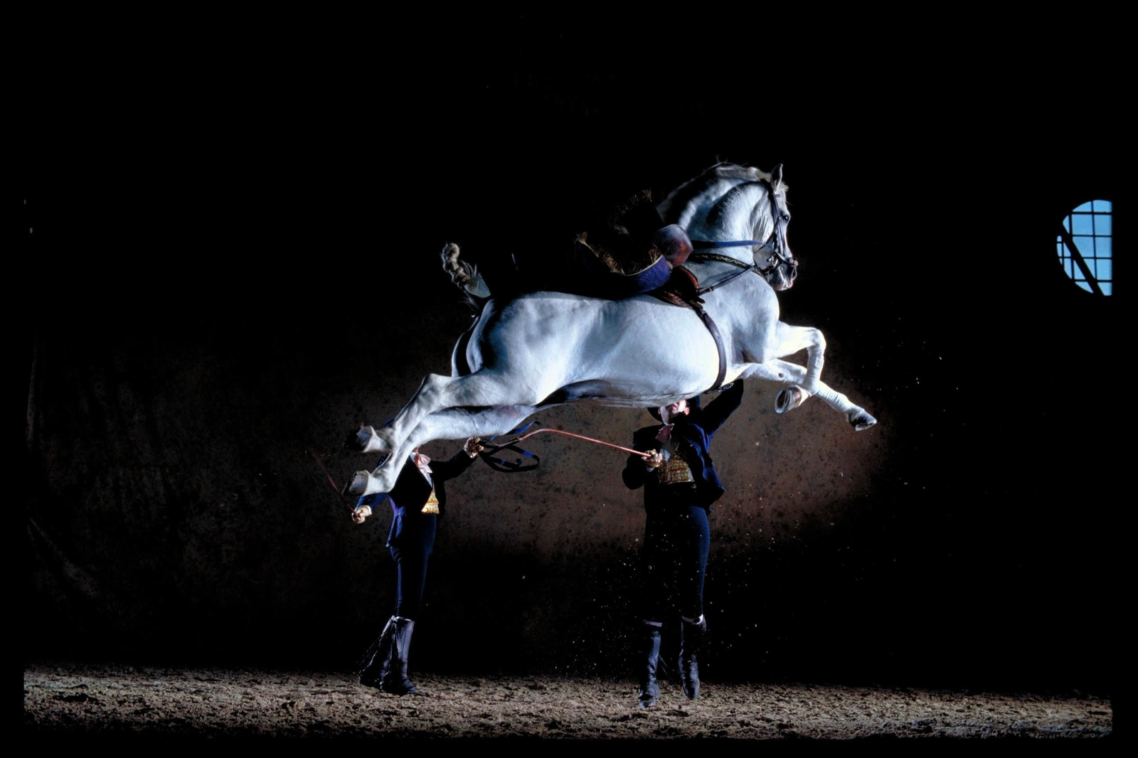 Imagen reciente del espectáculo 'Cómo bailan los Caballos Andaluces' de la Real  Escuela Andaluza del Arte Ecuestre.