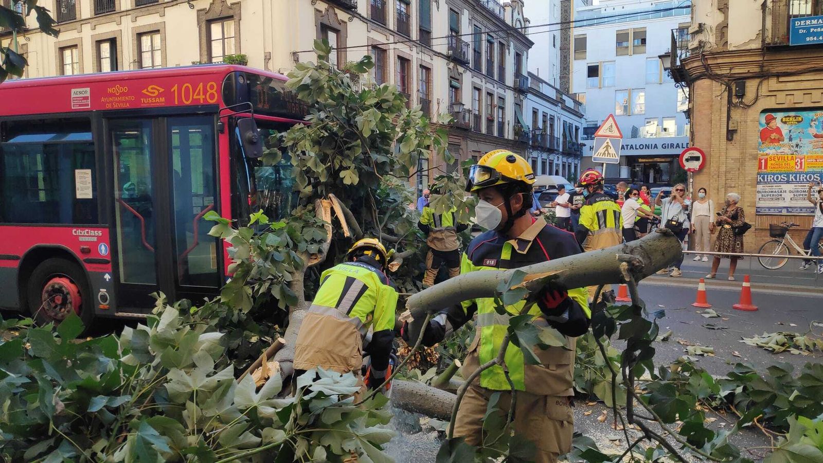 Los bomberos retiran los restos del árbol caído junto al autobús