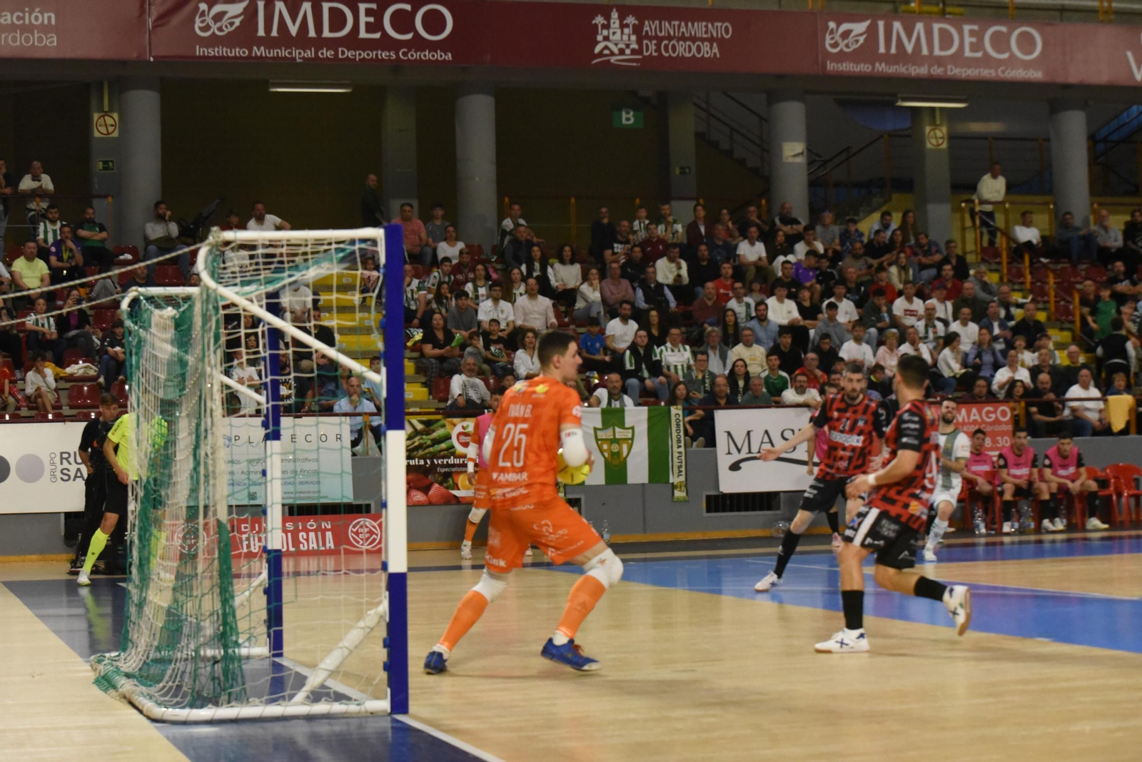 Las mejores fotos del ambiente en Vista Alegre para el Córdoba Futsal - AD Sala 10 Zaragoza