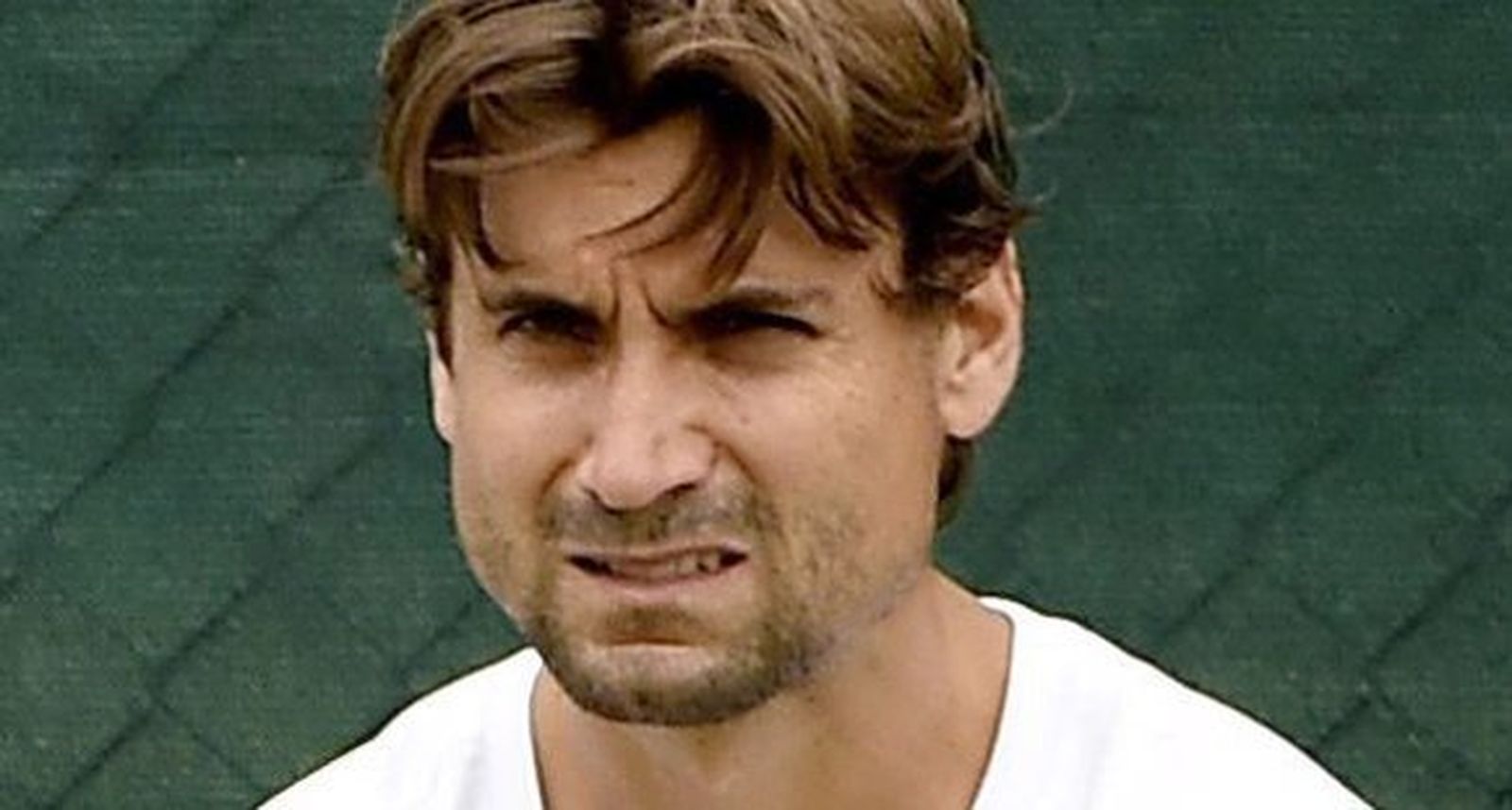 Ferrer renuncia a Wimbledon por una lesión de codo