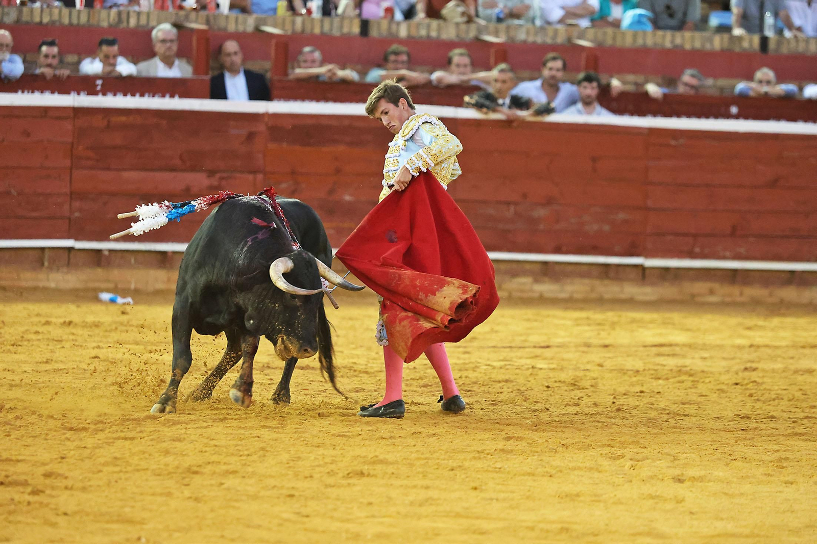 Toros La Merced 2024 Novillada con picadores(