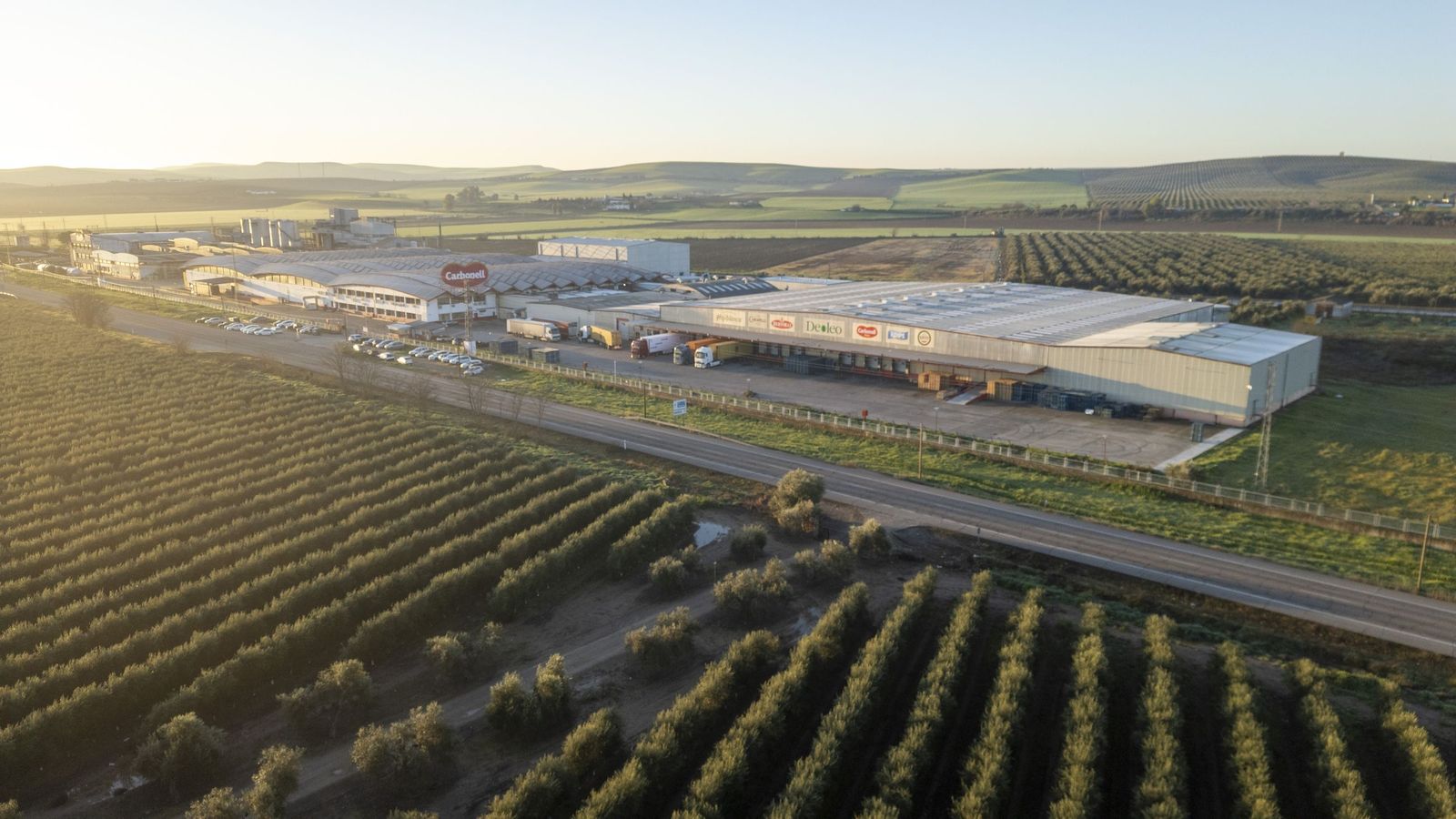 Planta de Carbonell en Córdoba