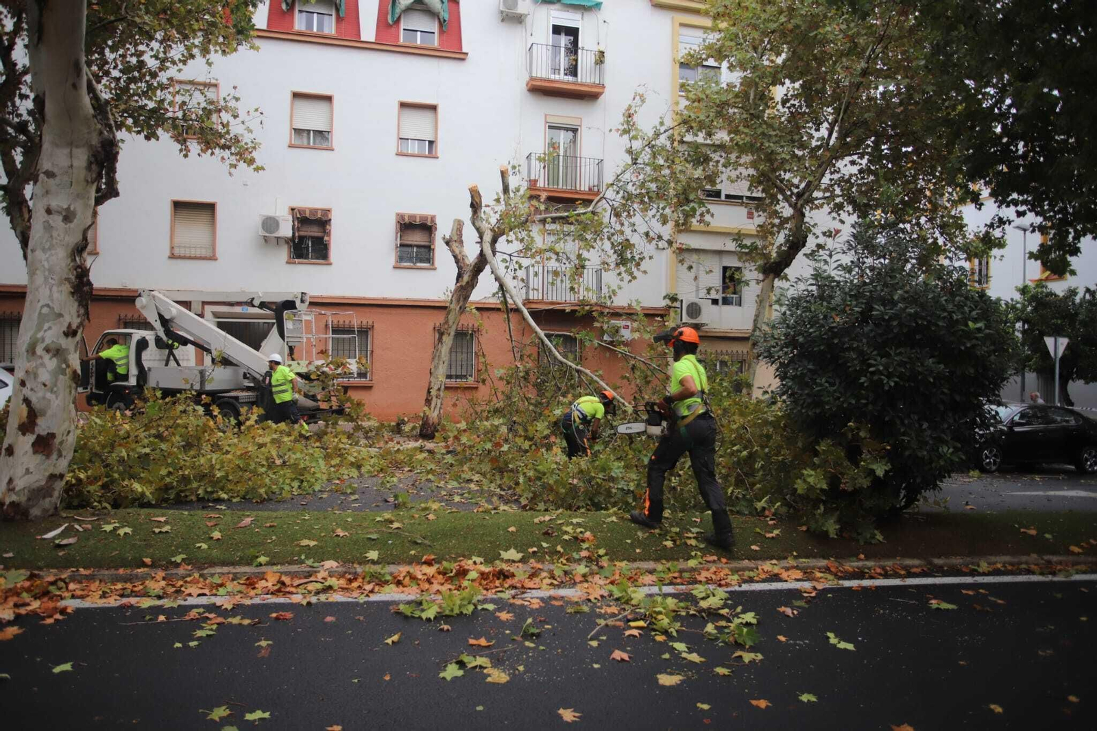 La lluvia deja estampas insólitas en Huelva: imágenes de la tromba de agua