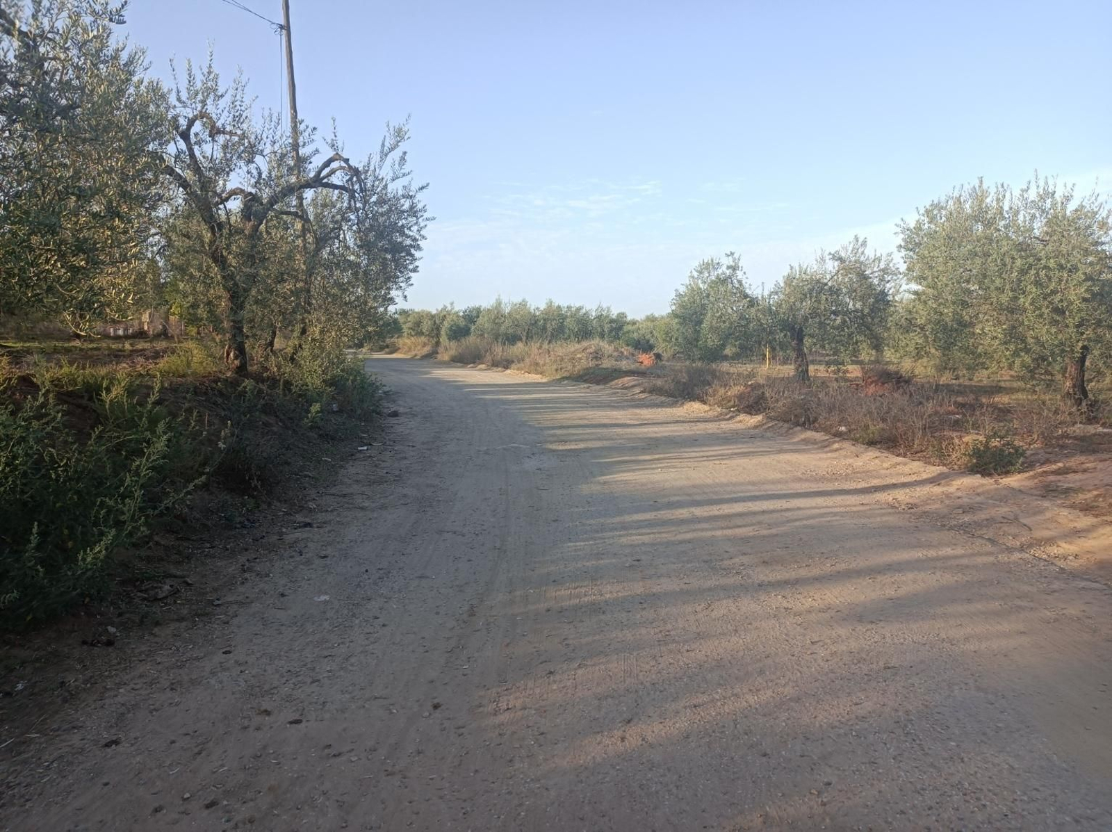 Fotos del Camino de San Diego en Almensilla