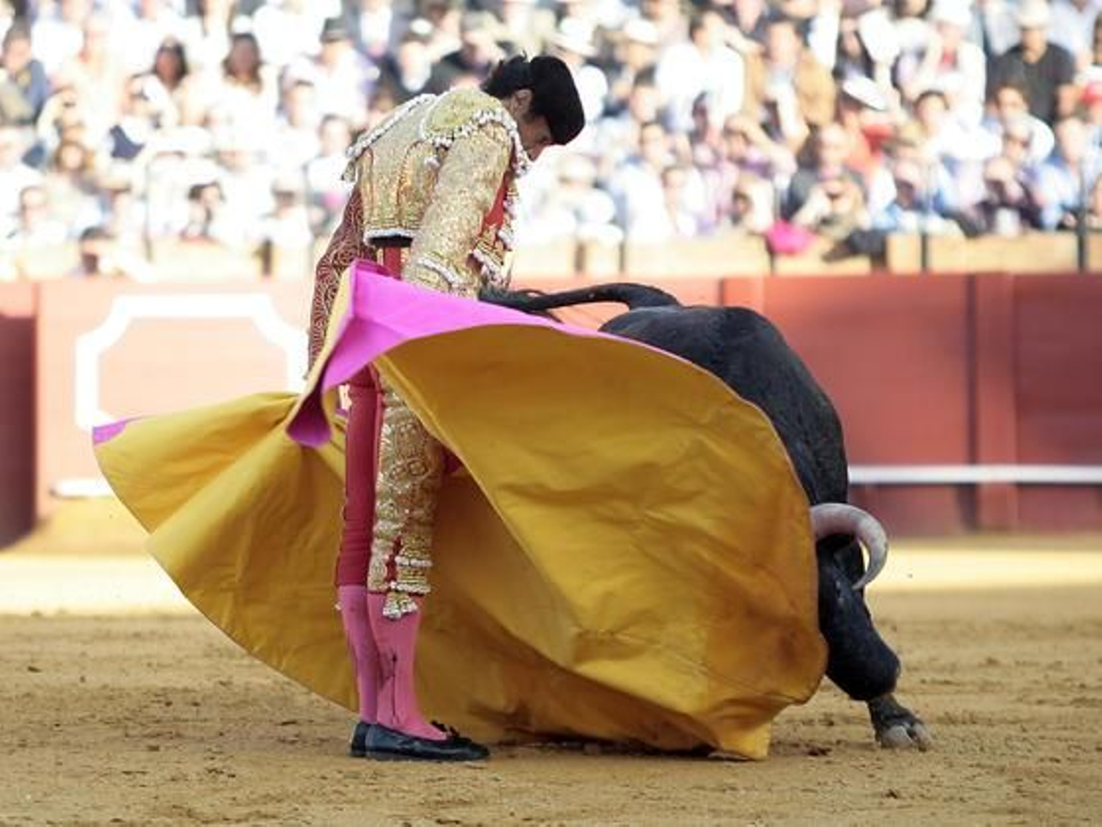 Las imágenes de la decimocuarta del abono en la Maestranza