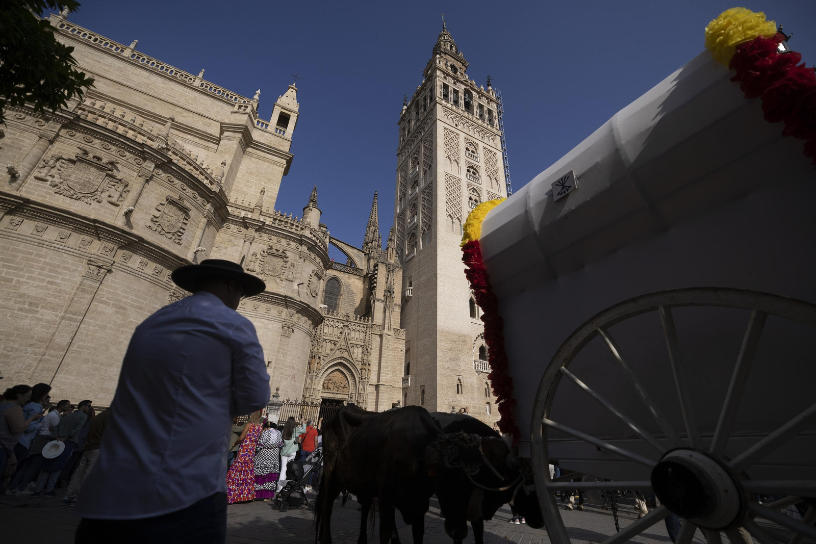 Las imágenes de la salida de la Hermandad del Rocío de Sevilla