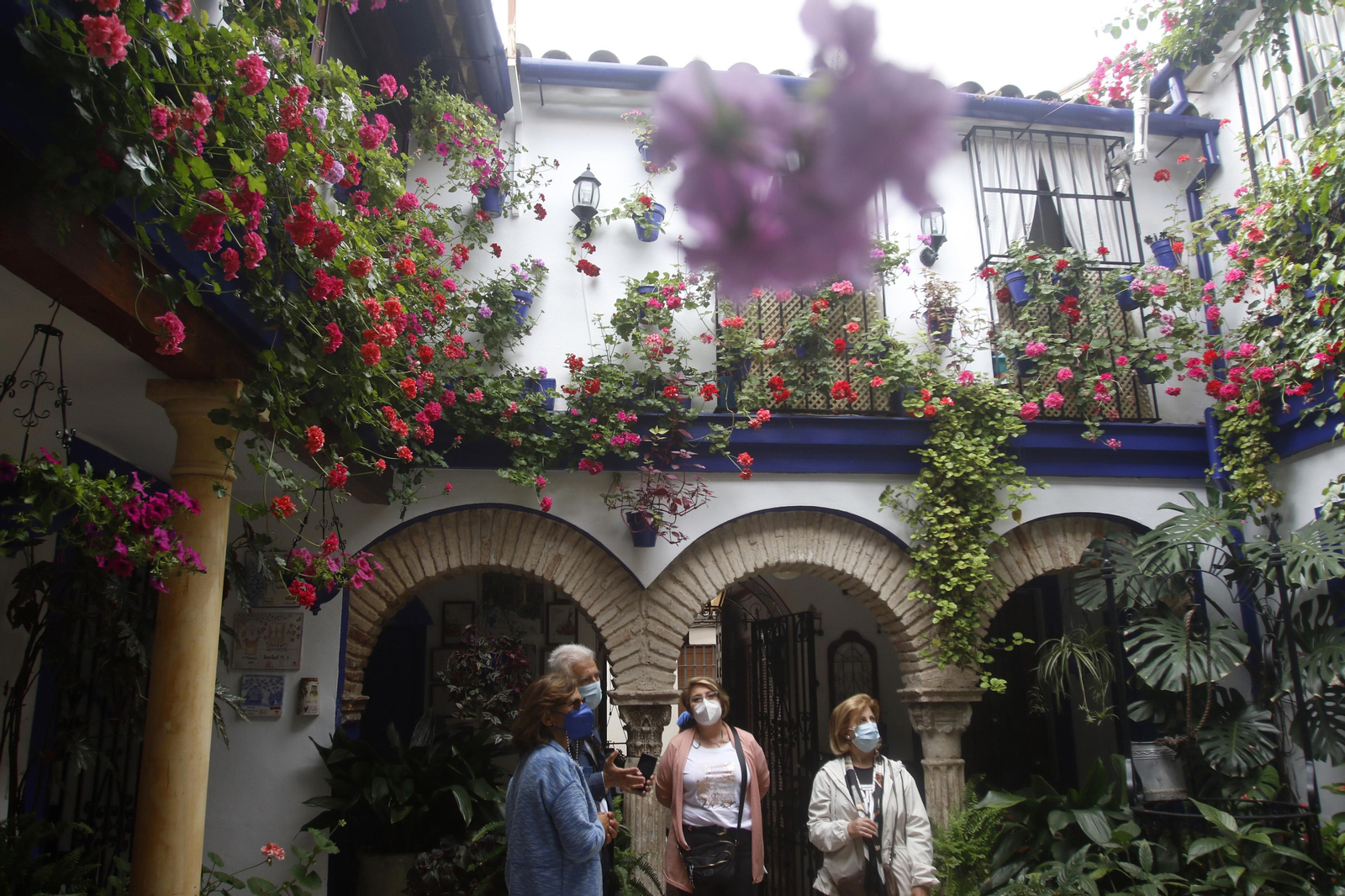 Ruta Santiago - San Pedro de los Patios de Córdoba, en imágenes