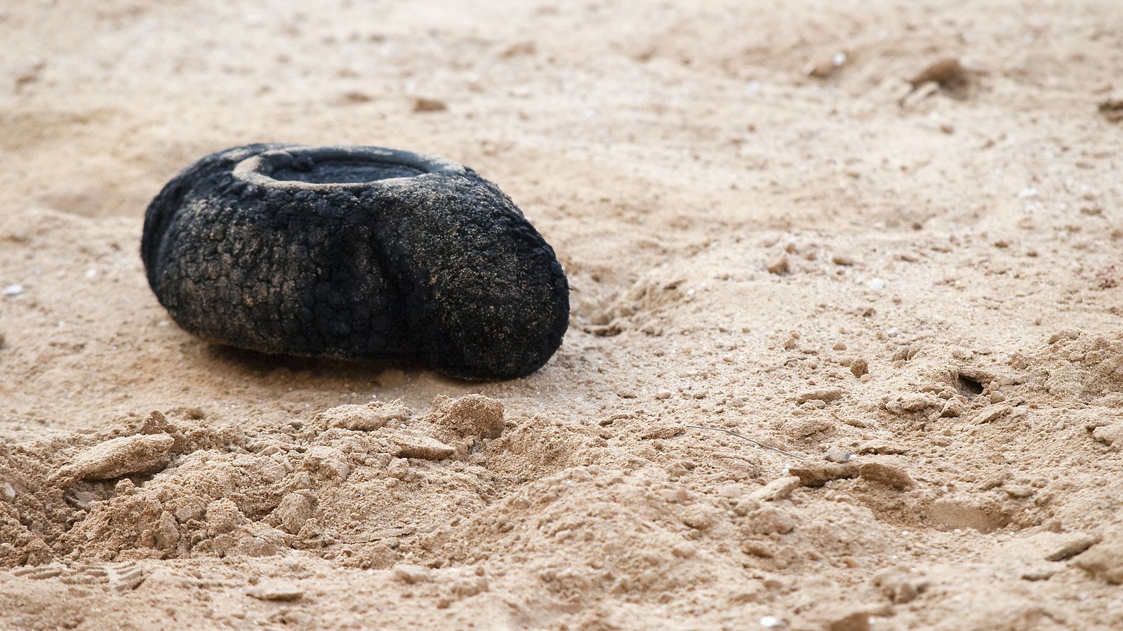 Suspendida la temporada taurina.