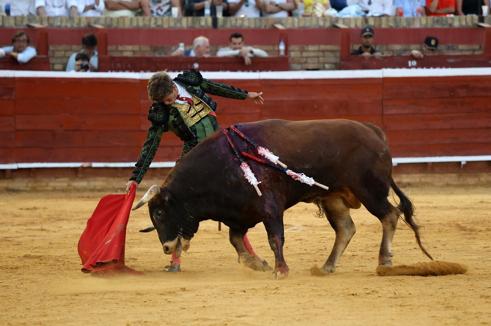 Toros La Merced 2025: Imágenes de la Novillada de Javier Zulueta, Cristian González y Carlos Tirado