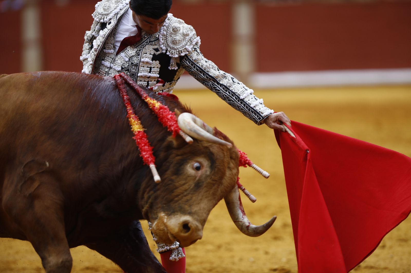 La corrida mixta de Diego Ventura, Morante de la Puebla y Pablo Aguado en Córdoba, en imágenes