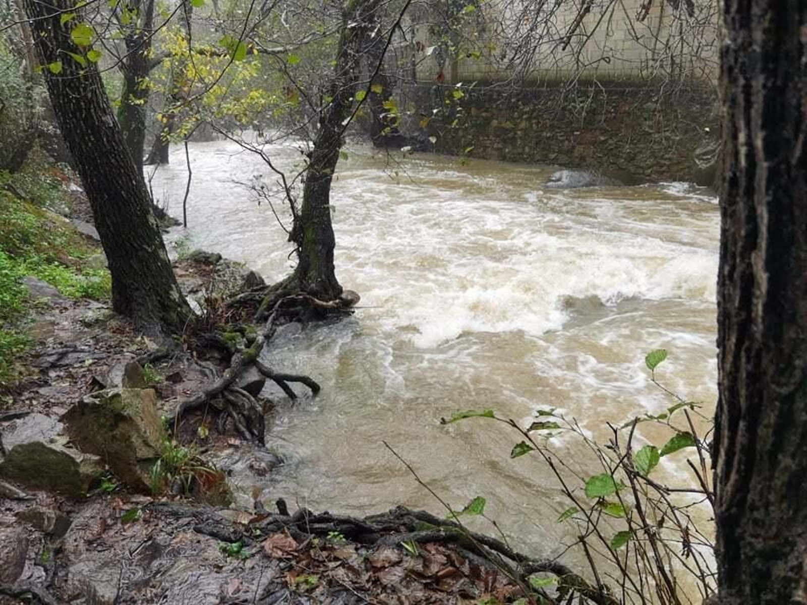El río de la Miel, tras las últimas lluvias.