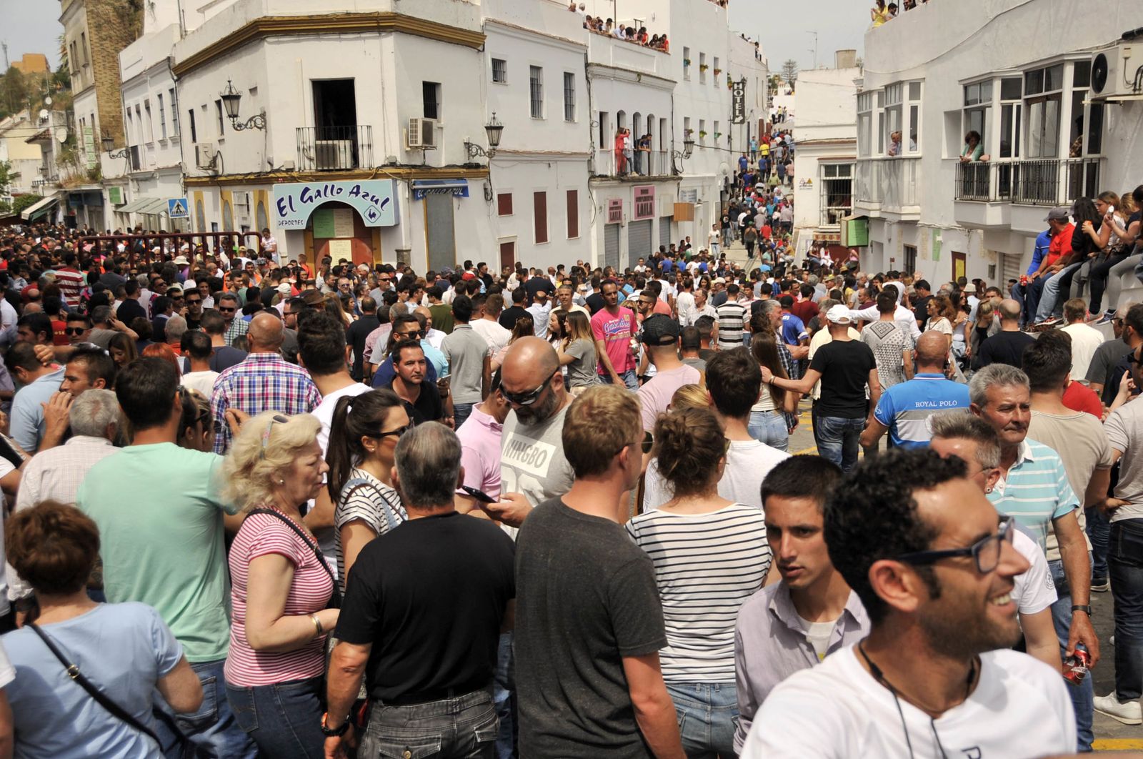 Las imágenes del Toro del Aleluya