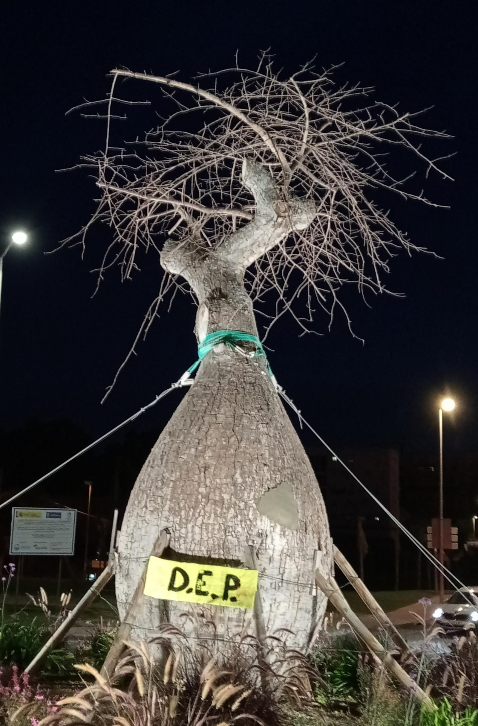 El árbol de 'Ceiba speciosa' de la rotonda de San José Artesano.
