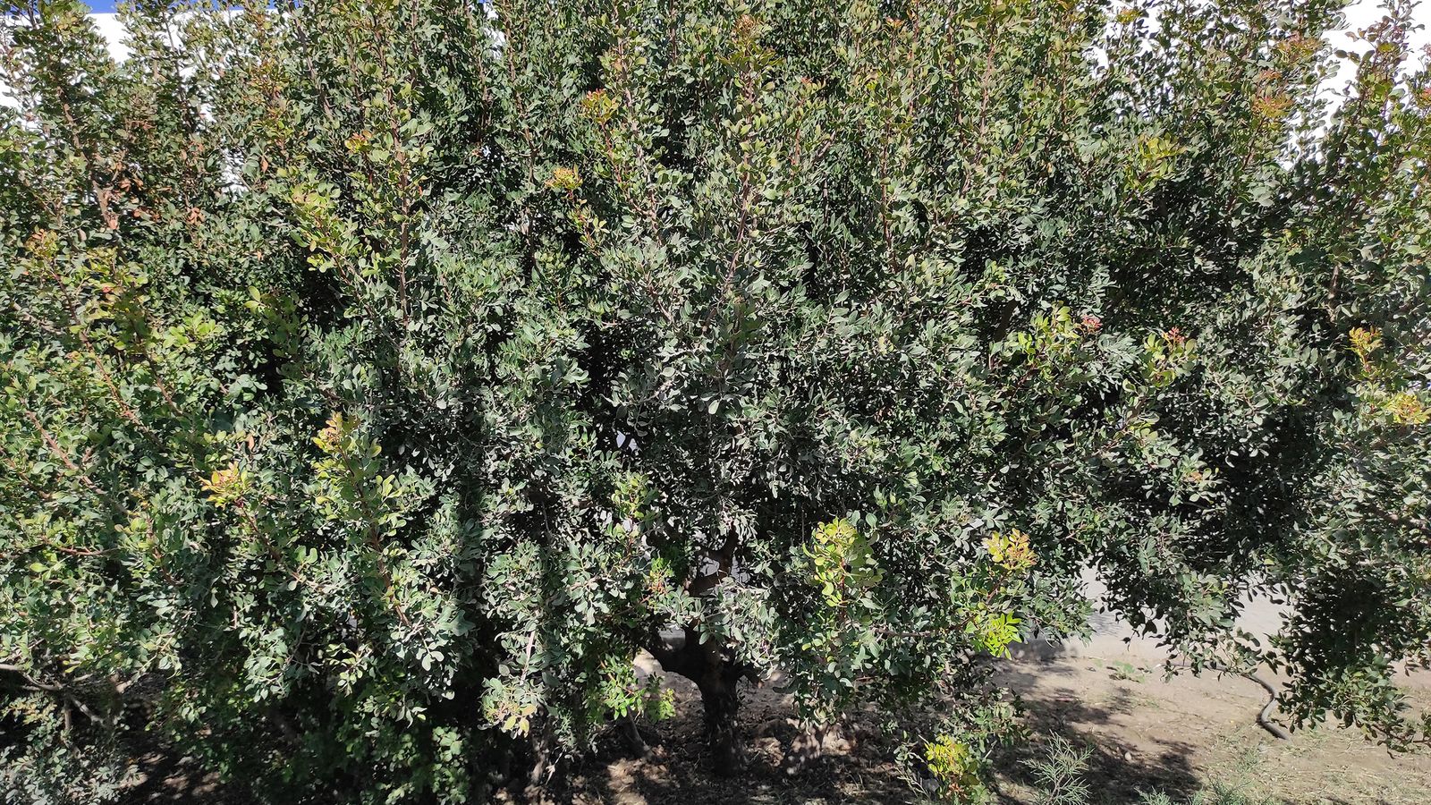 Vista exterior del Ecomuseo