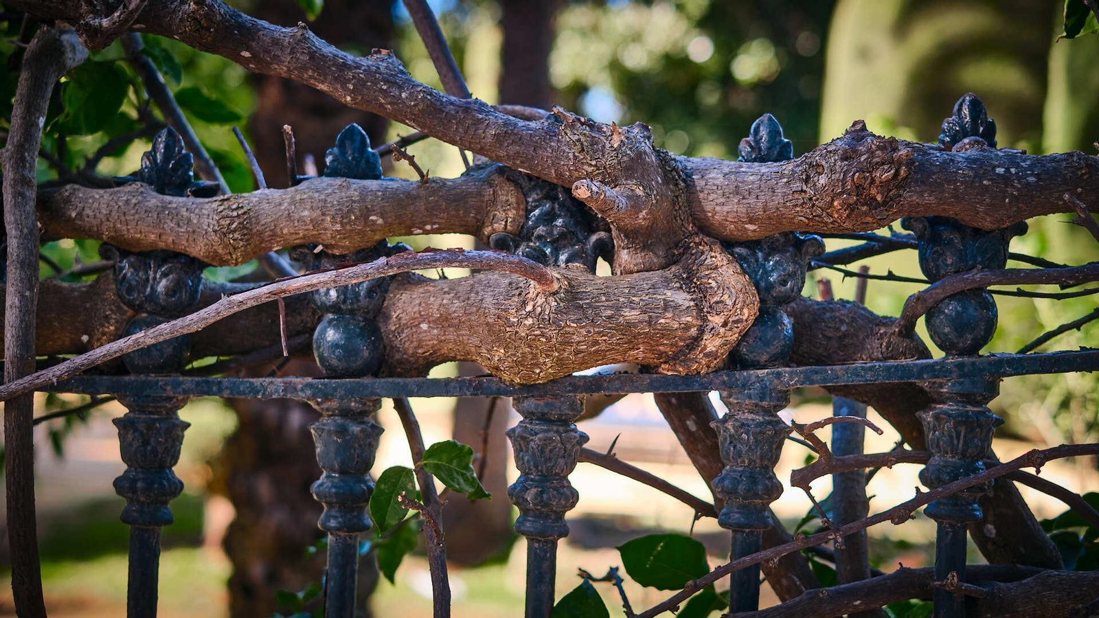 La reja que rodea el recinto y sus elementos adosados  aparecen con roturas, óxido y muy deteriorados.