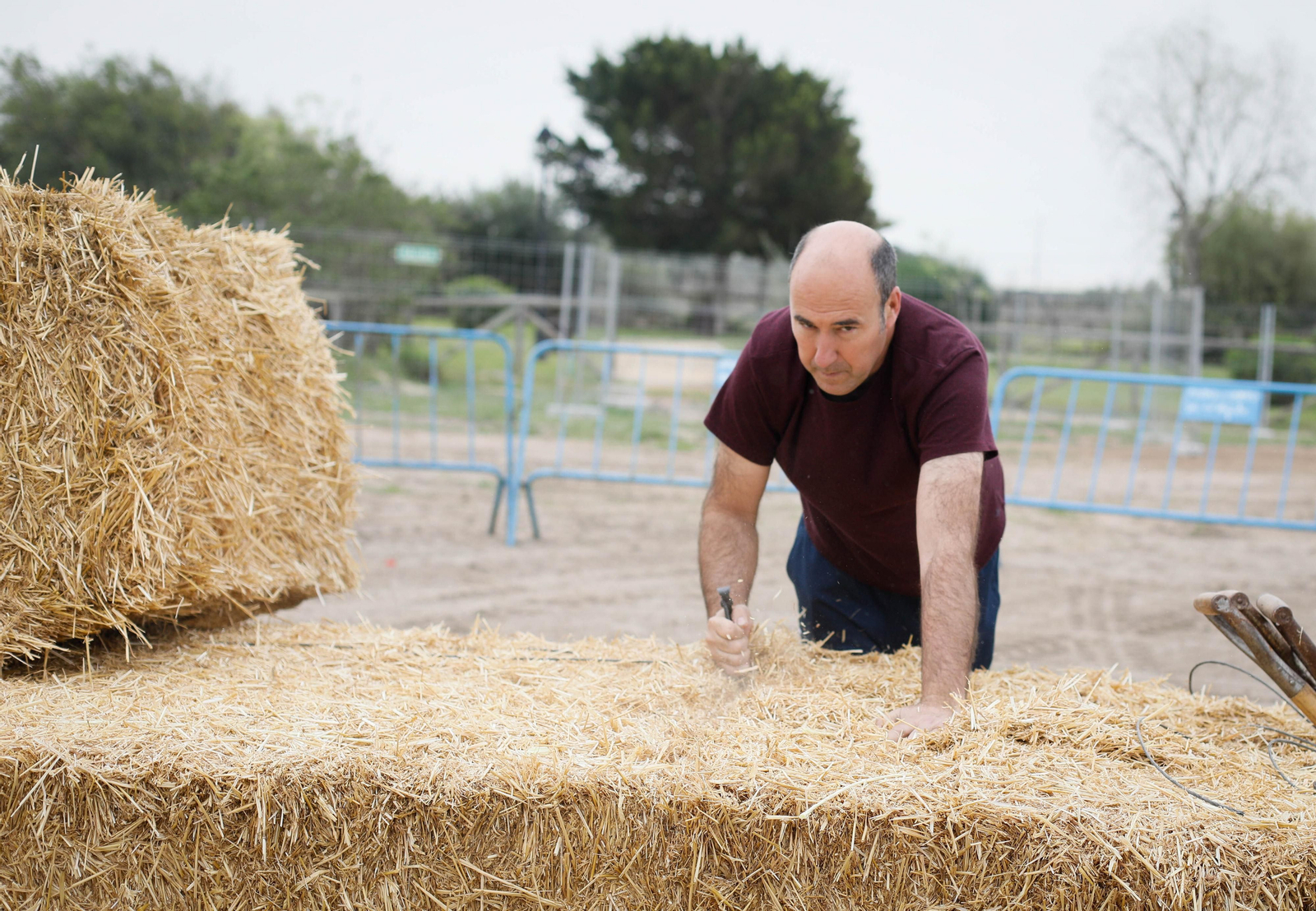 Galería de la Feria  de ganado en Tarambana