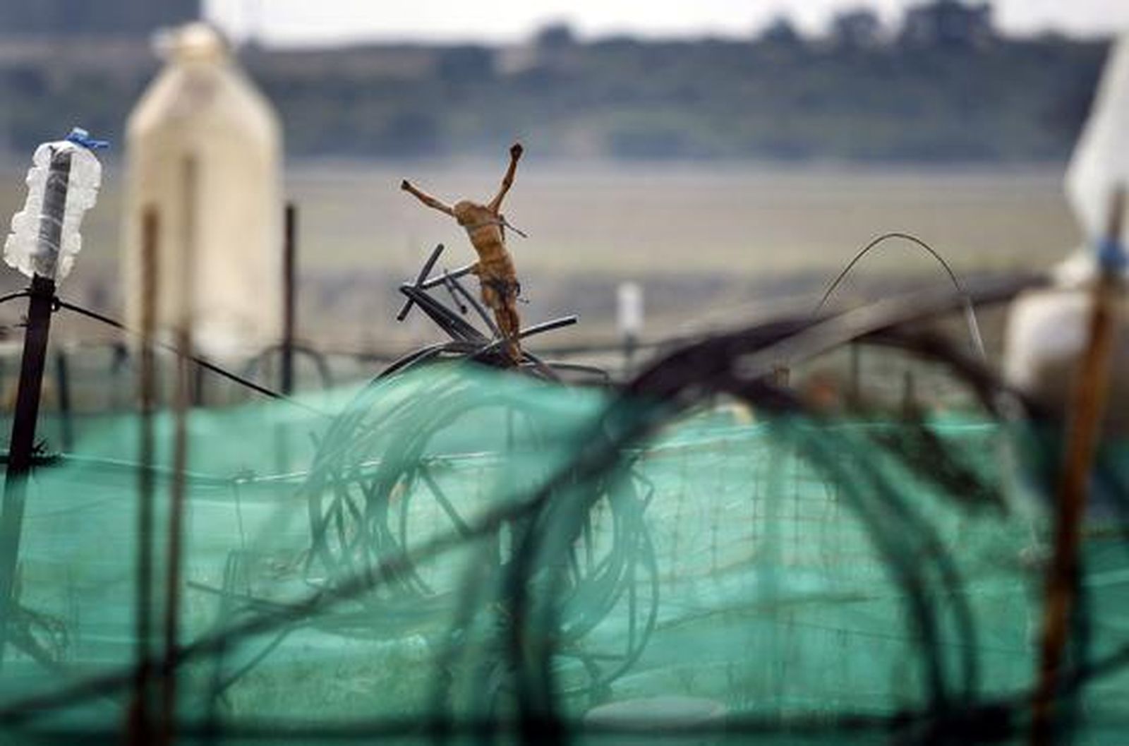 Un cristo en uno de los huertos de ocio de El Cuervo.

Foto: Fito Carreto
