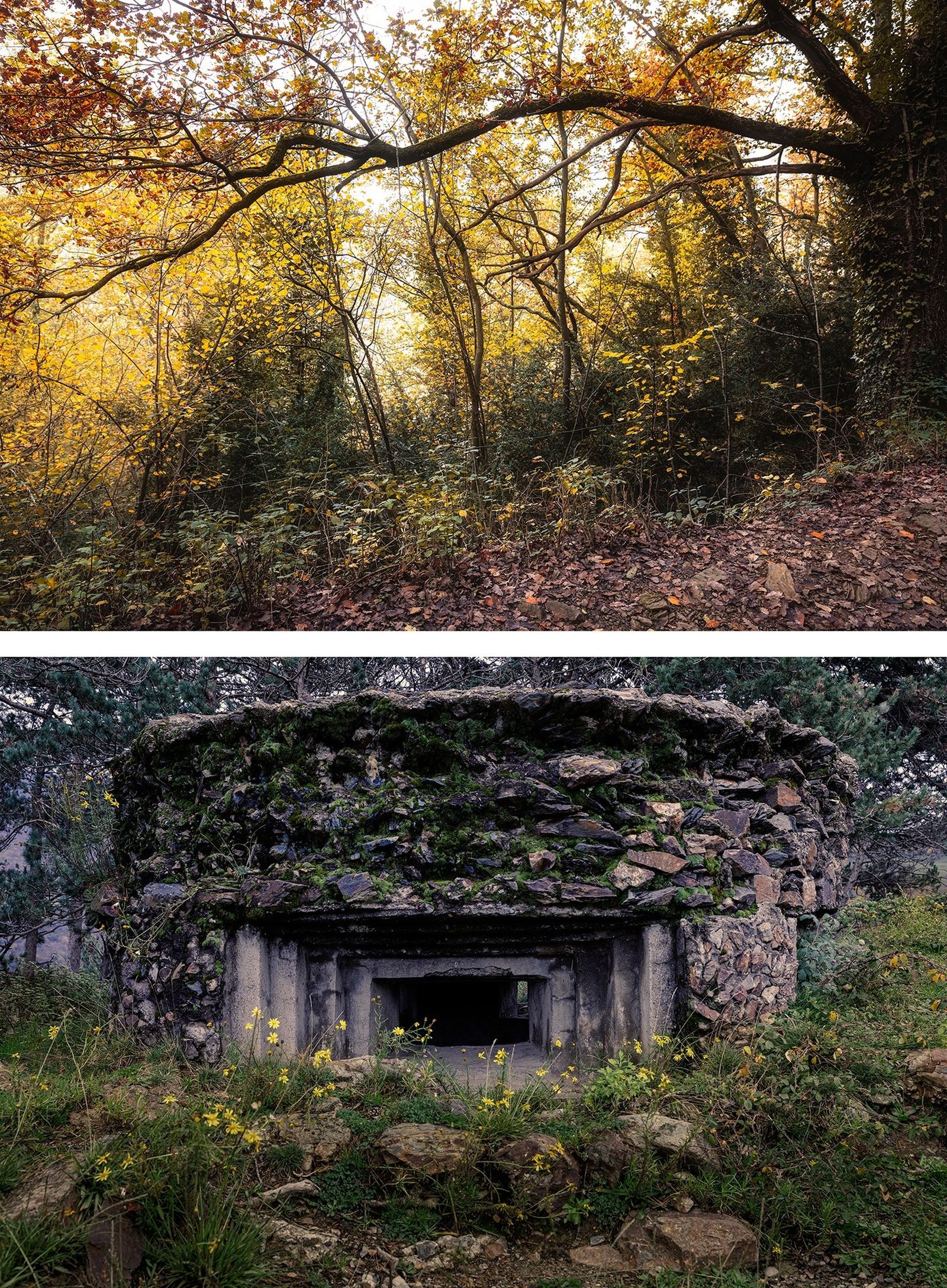 Búnker observatorio, Ribes de Freser, Girona