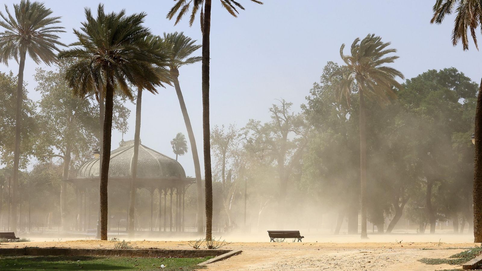 El fuerte viento, levantando el albero del parque González Hontoria.