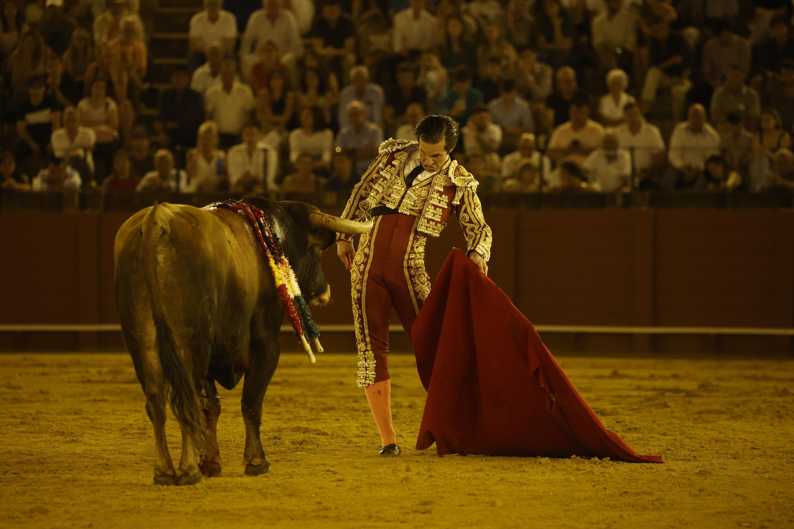Las imágenes de la novillada en la Maestranza