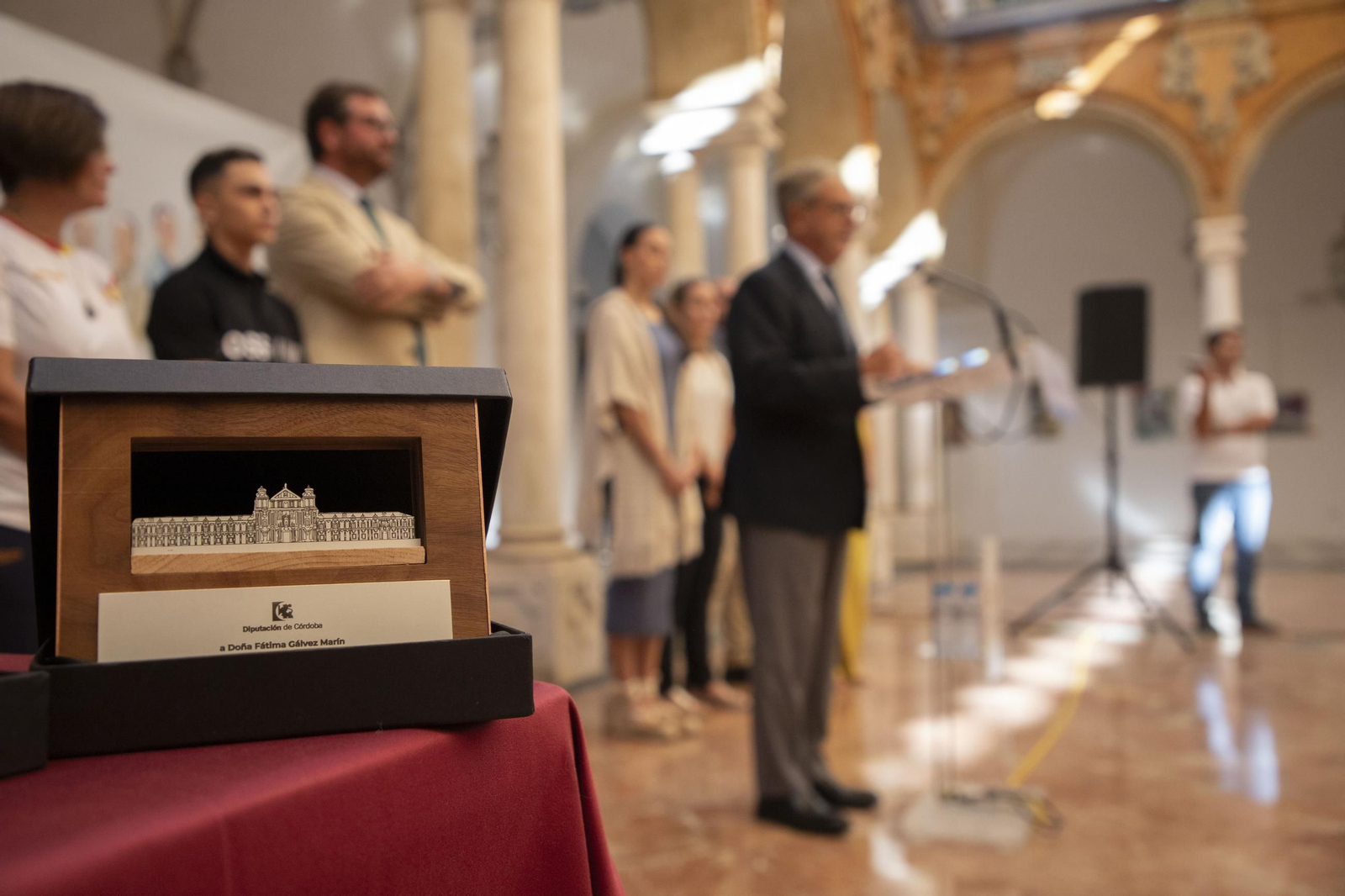 foto_recepcin-por-parte-de-la-corporacin-provincial-a-los-deportistas-olmpicos_10_53985301935_o.jpg