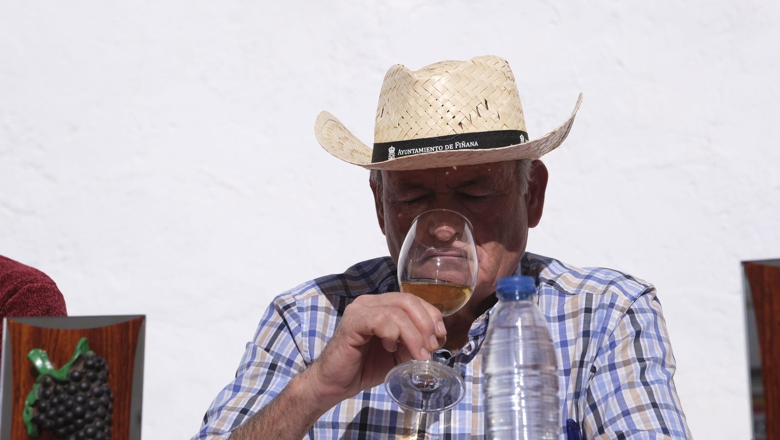 Imágenes del Certamen de Mostos de Fiñana