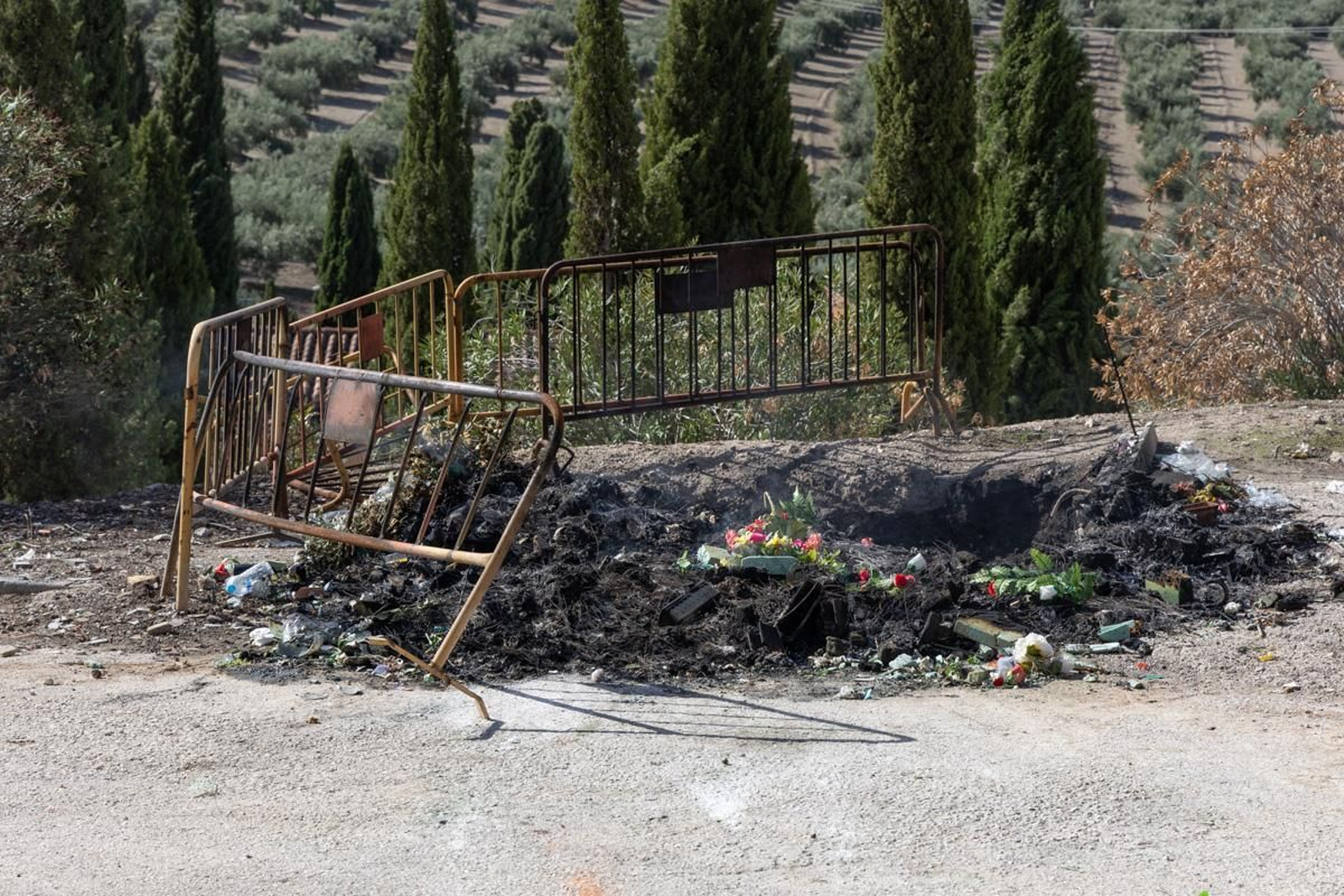 Día de Los Santos en el cementerio de San Fernando y San Eufrasio de Jaén, en imágenes