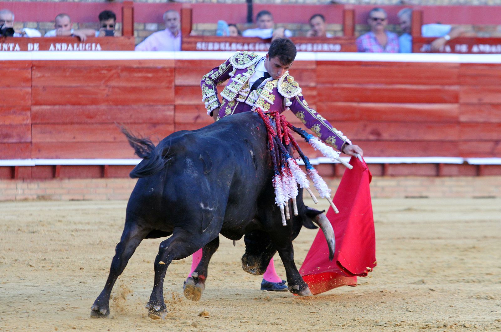 Imágenes de la Novillada de Rafael Serna, Emilio Silvera y Rodrigo Molina.