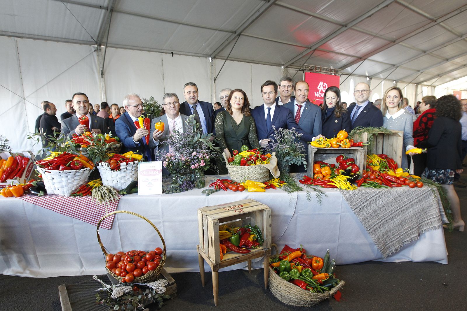Fotogalería nuevas instalaciones Vicasol 3 en El Ejido