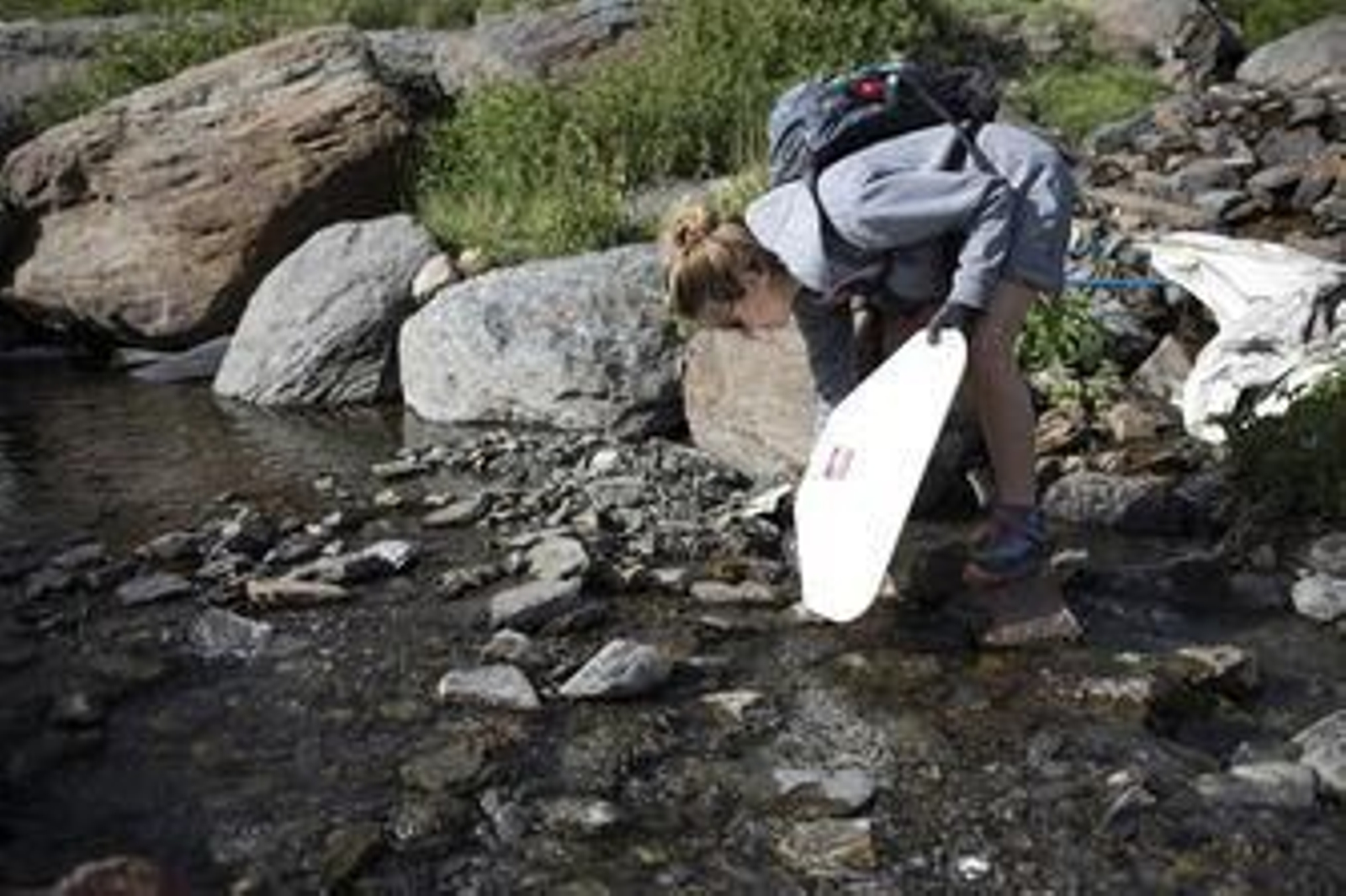 Fotos: así ha sido la jornada de limpieza en las pistas de esquí de Sierra Nevada