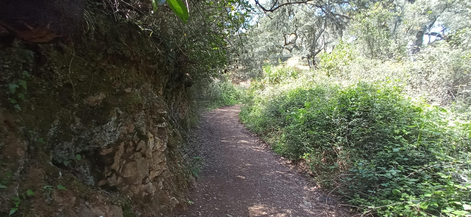 Las imágenes de la ruta de las casas de los Tres Cerditos